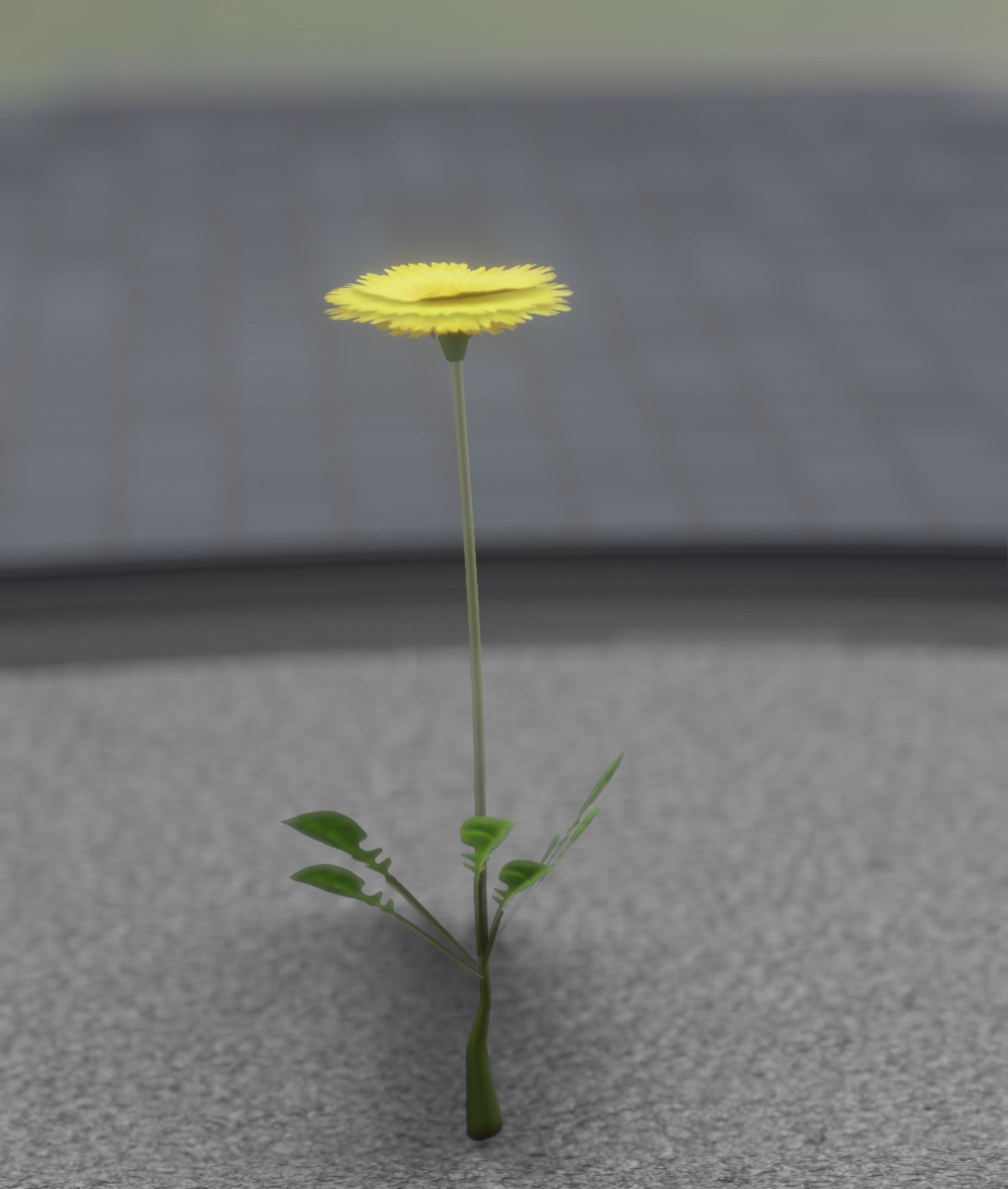 Low-Poly Dandelion Flower Version 1 - Object 7 Low-poly 3D model_33