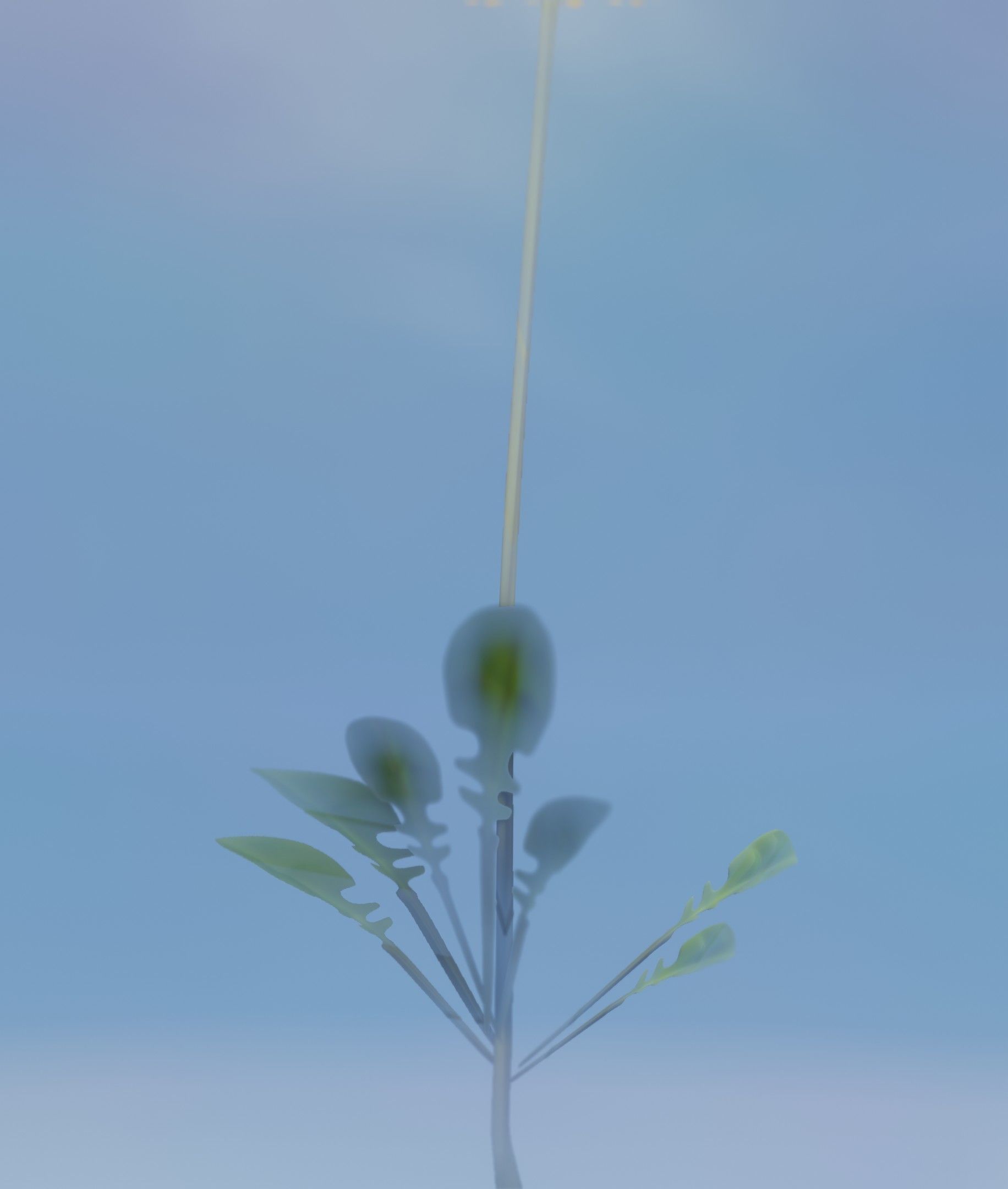 Low-Poly Dandelion Flower Version 1 - Object 7 Low-poly 3D model_25