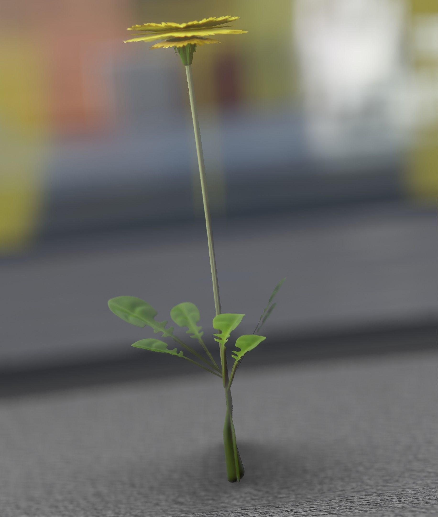 Low-Poly Dandelion Flower Version 1 - Object 7 Low-poly 3D model_41