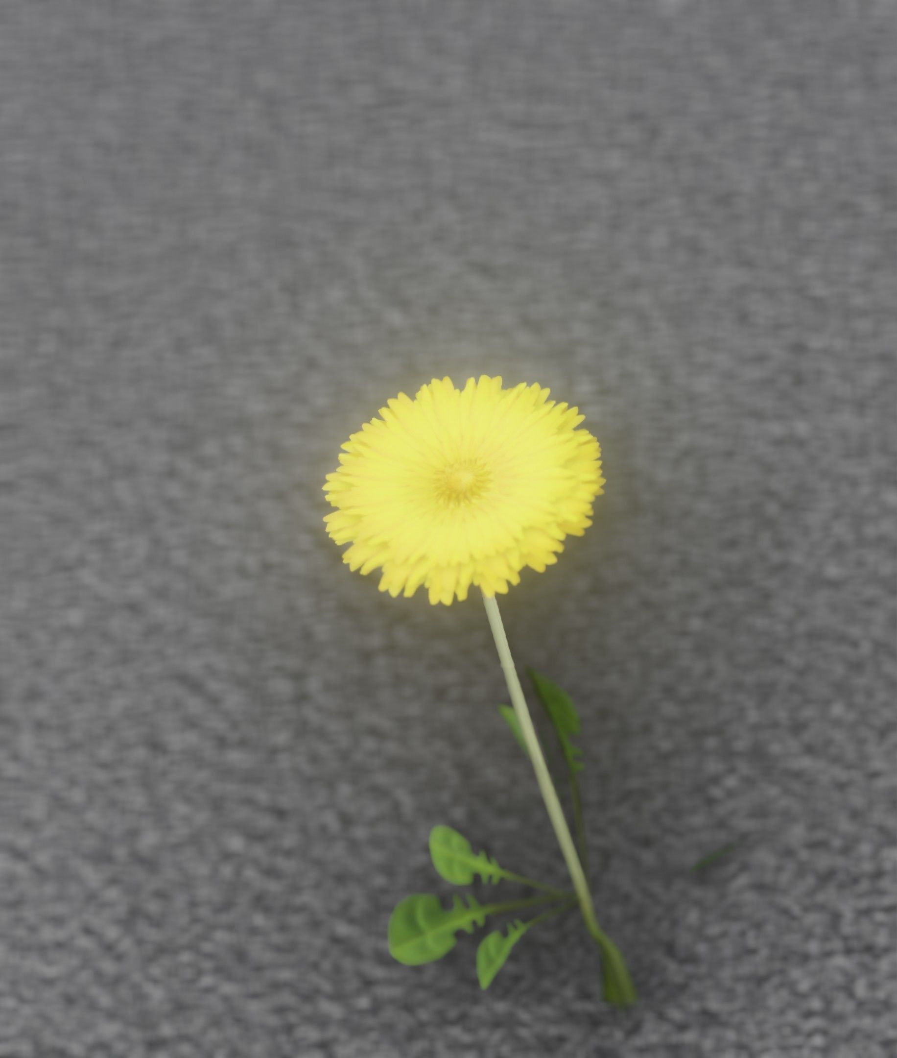 Low-Poly Dandelion Flower Version 1 - Object 7 Low-poly 3D model_7