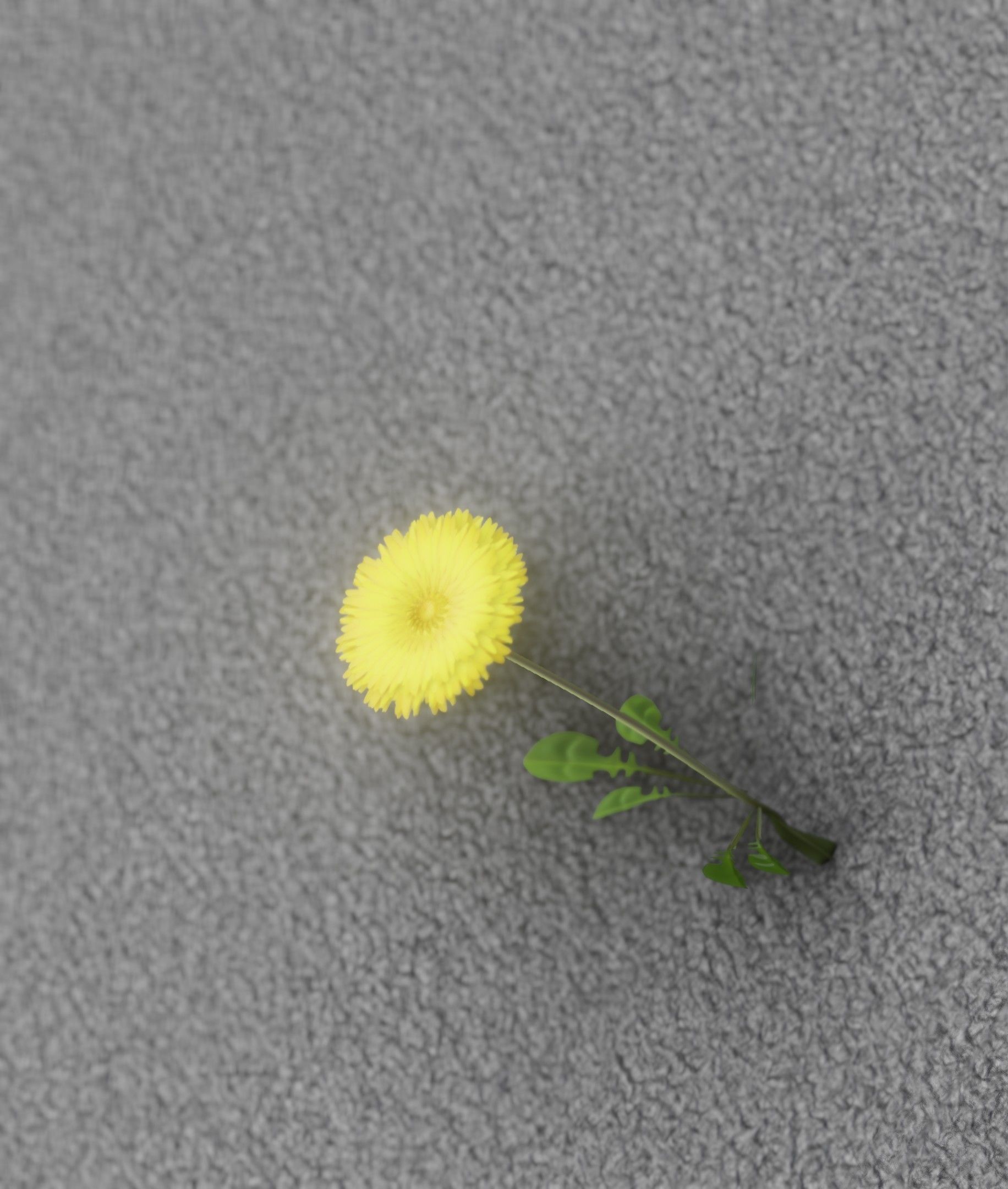 Low-Poly Dandelion Flower Version 1 - Object 7 Low-poly 3D model_10
