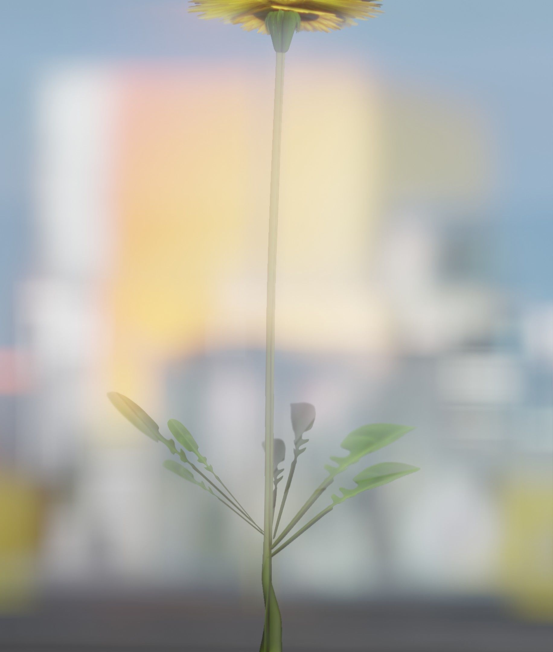 Low-Poly Dandelion Flower Version 1 - Object 7 Low-poly 3D model_28