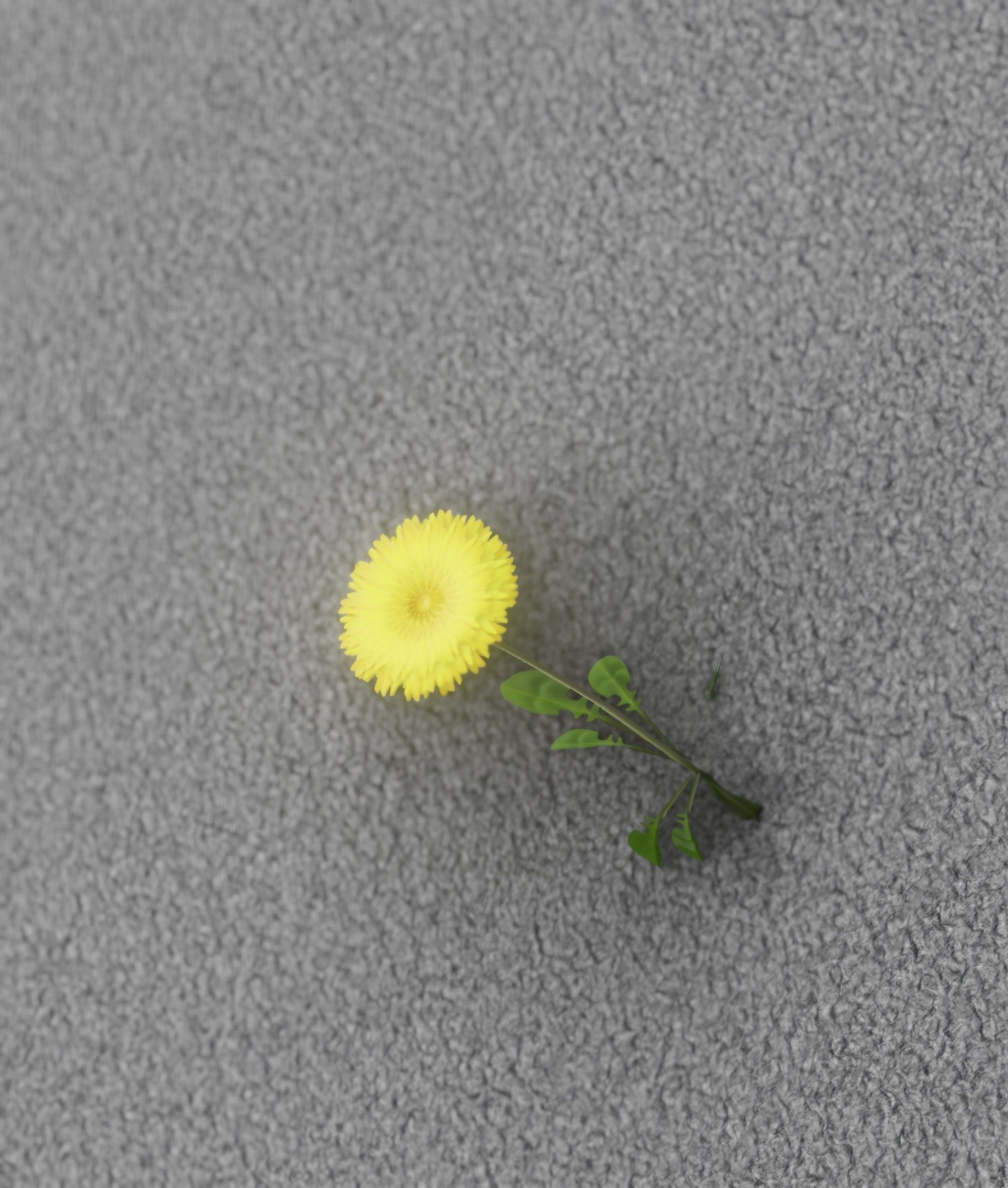 Low-Poly Dandelion Flower Version 1 - Object 7 Low-poly 3D model_11
