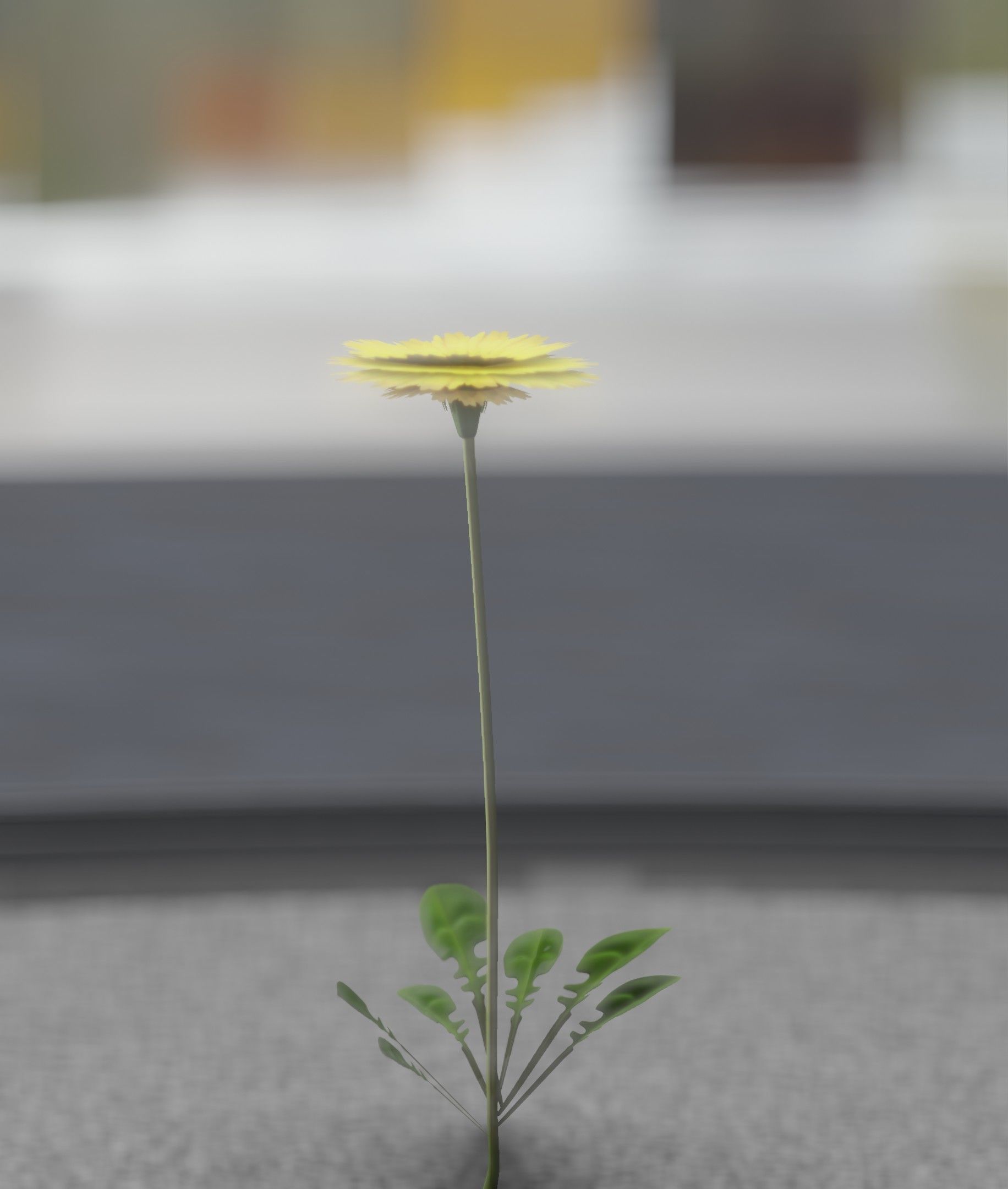 Low-Poly Dandelion Flower Version 1 - Object 7 Low-poly 3D model_32