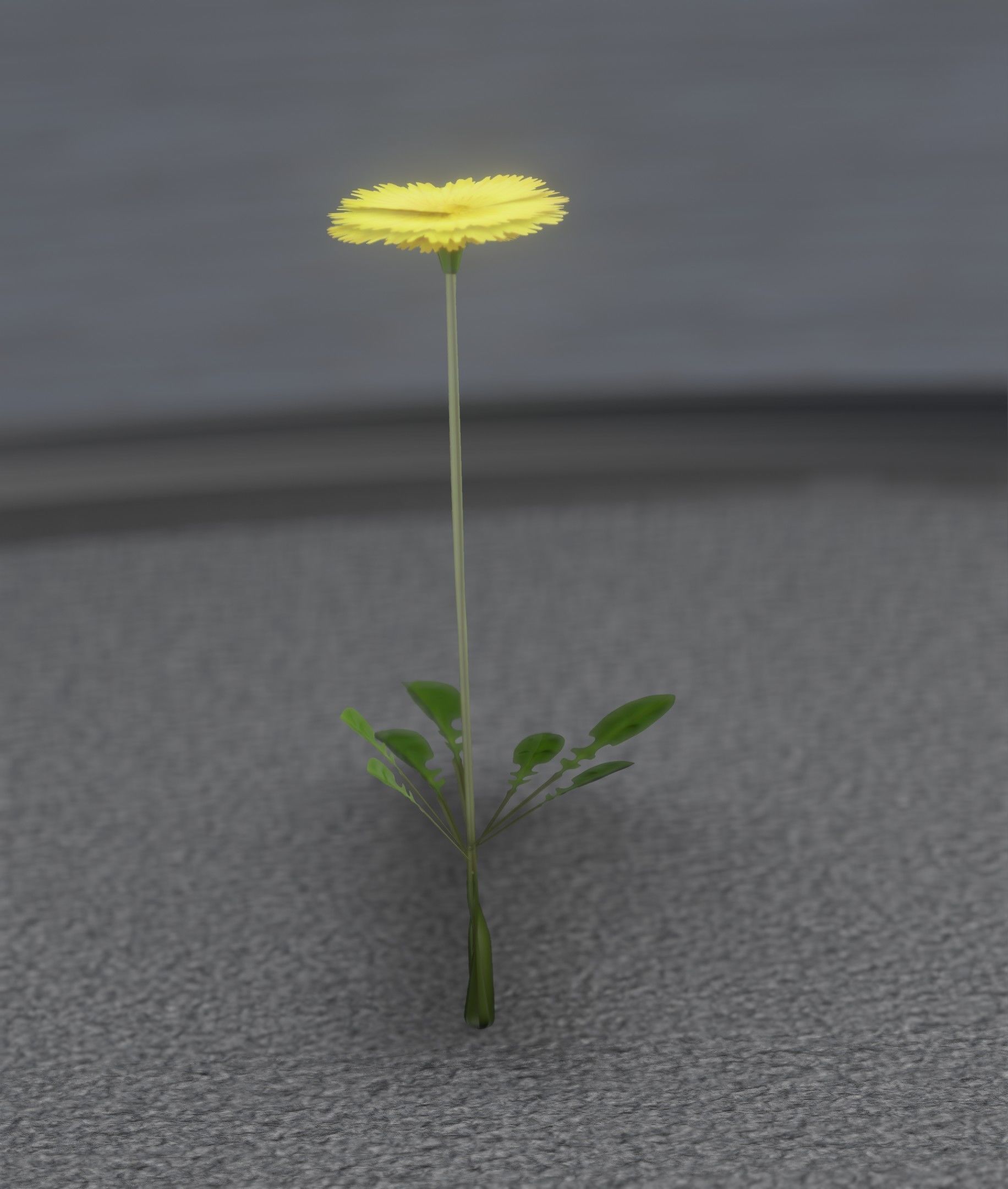 Low-Poly Dandelion Flower Version 1 - Object 7 Low-poly 3D model_35