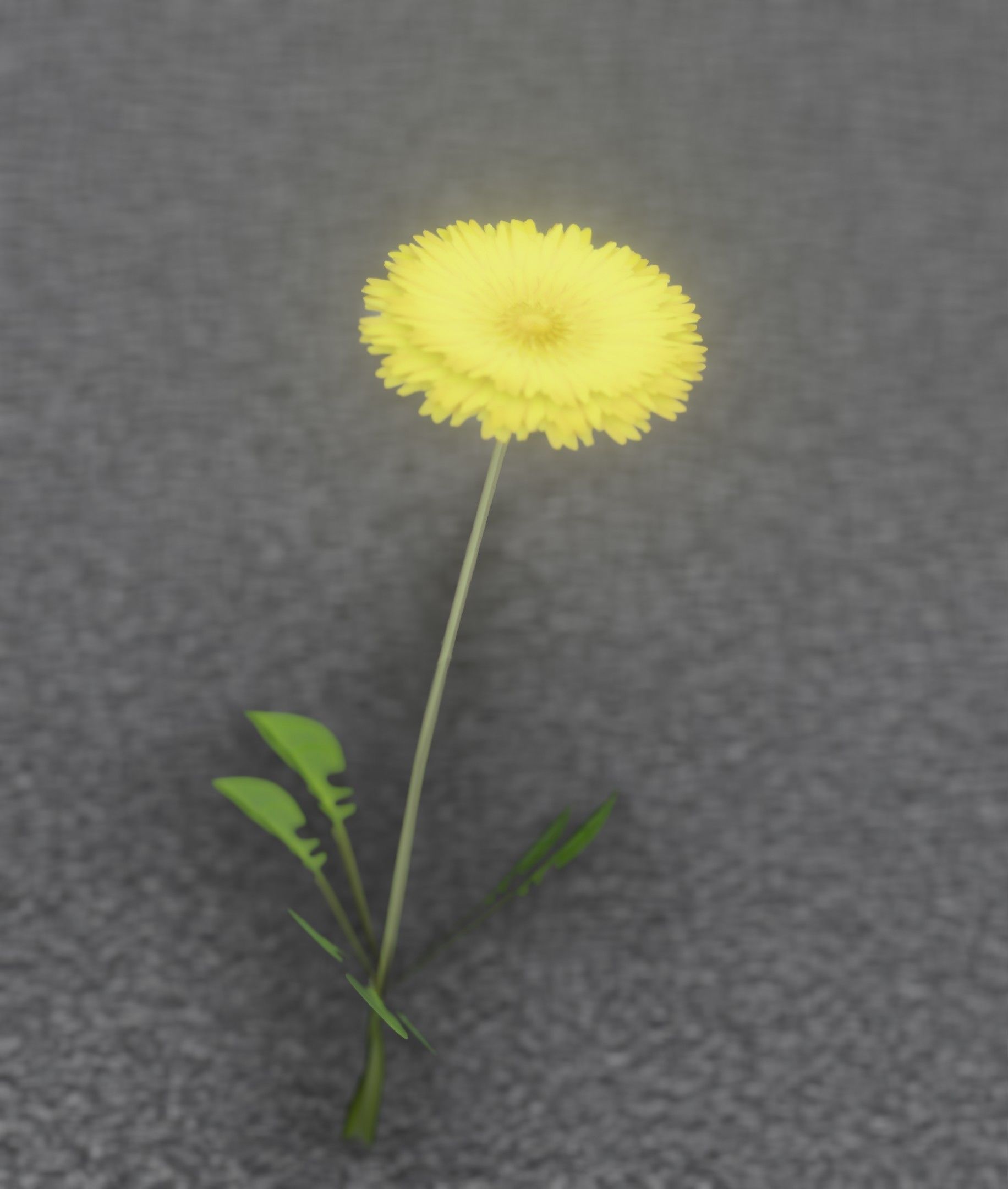 Low-Poly Dandelion Flower Version 1 - Object 7 Low-poly 3D model_5