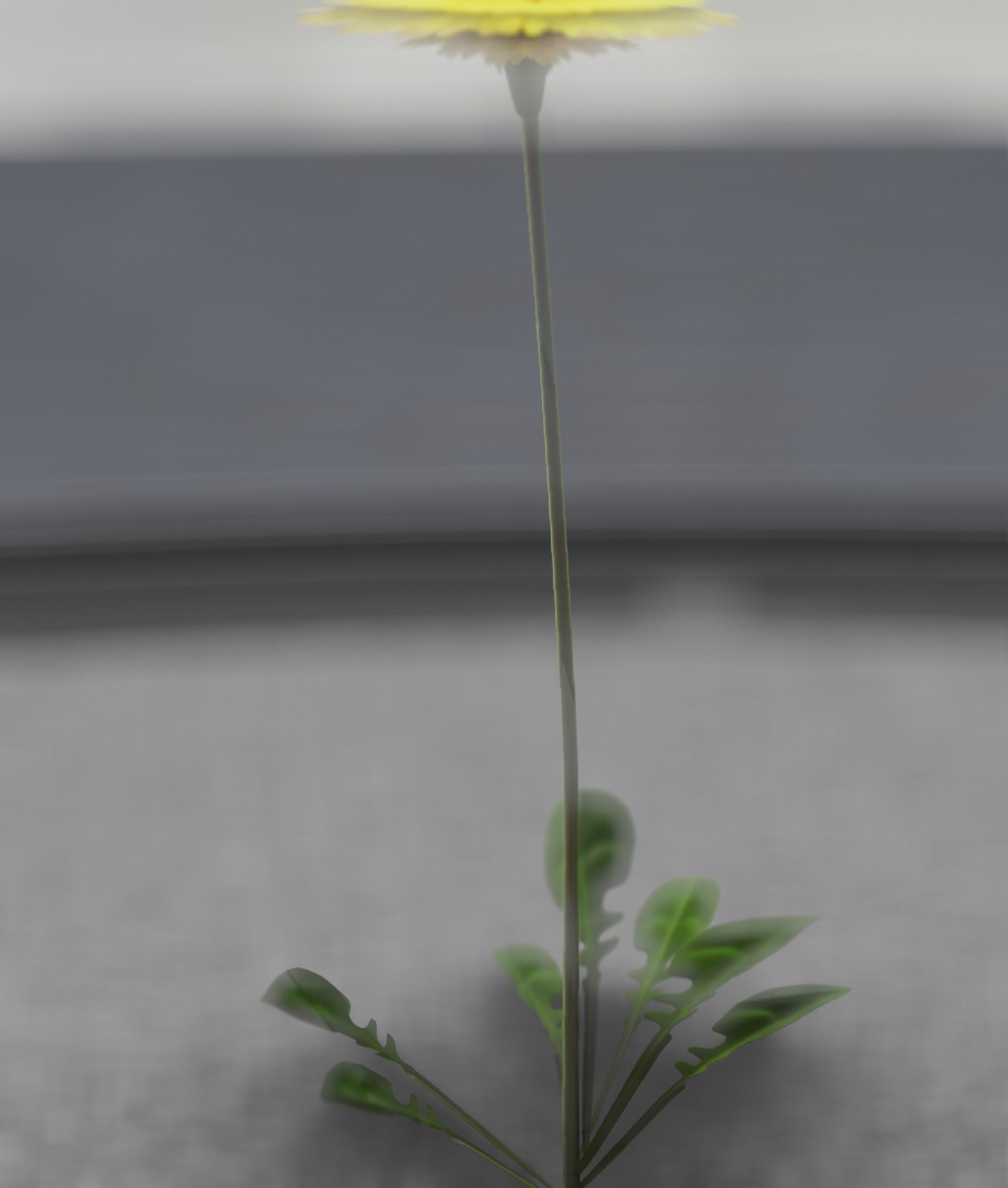 Low-Poly Dandelion Flower Version 1 - Object 7 Low-poly 3D model_6