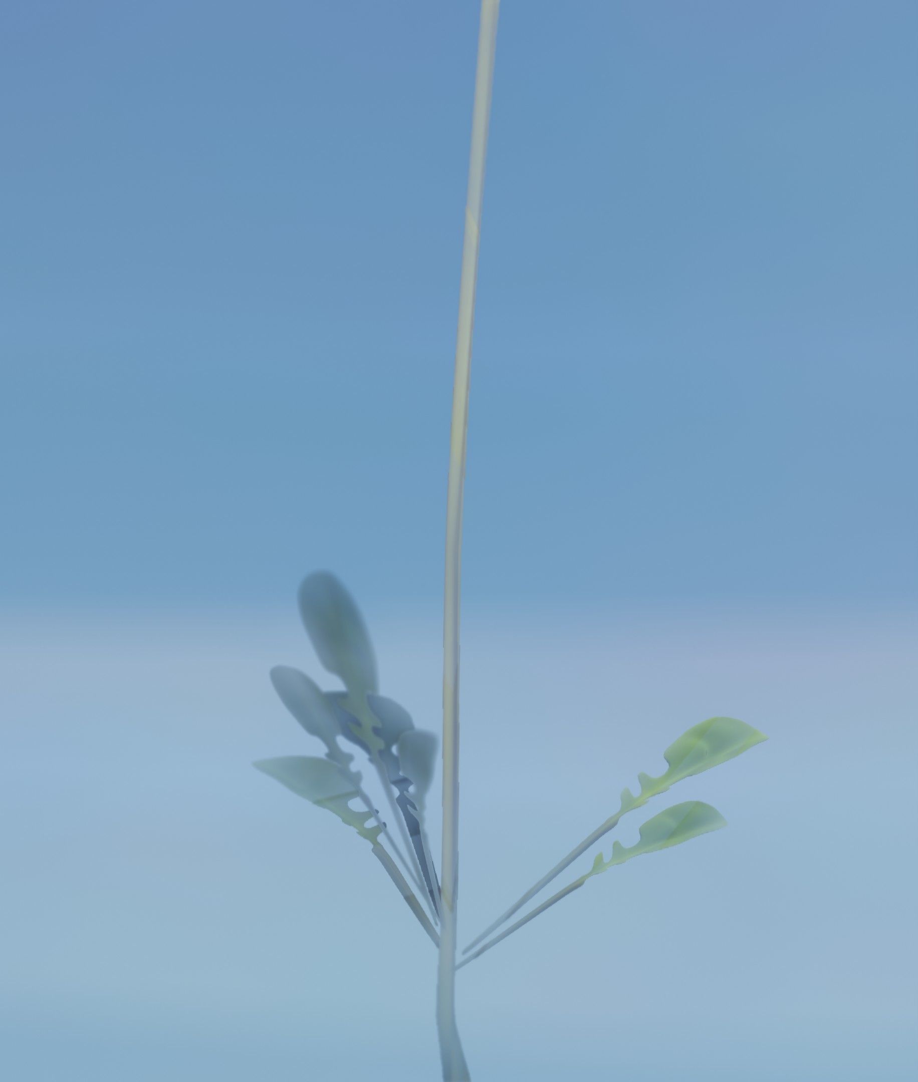 Low-Poly Dandelion Flower Version 1 - Object 7 Low-poly 3D model_26