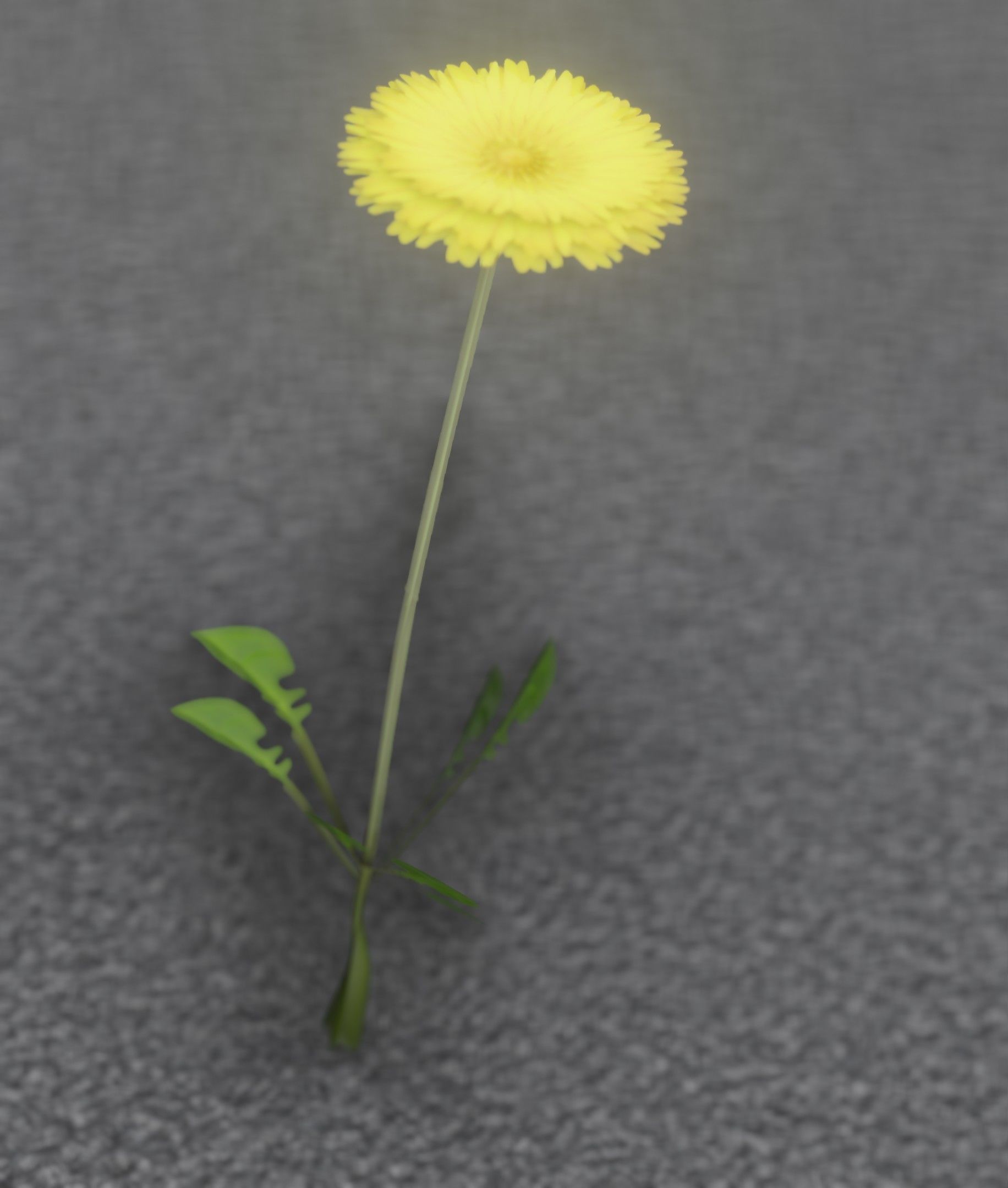Low-Poly Dandelion Flower Version 1 - Object 7 Low-poly 3D model_54