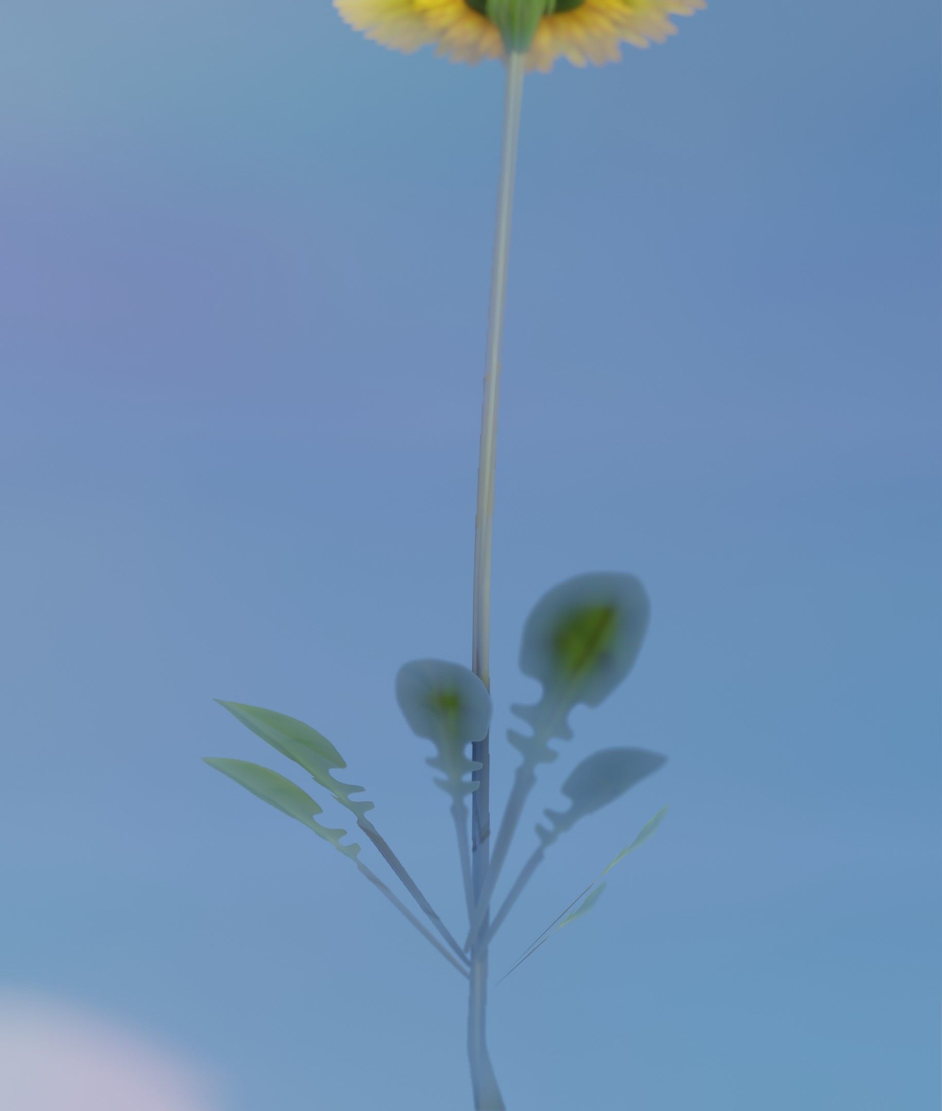 Low-Poly Dandelion Flower Version 1 - Object 7 Low-poly 3D model_24