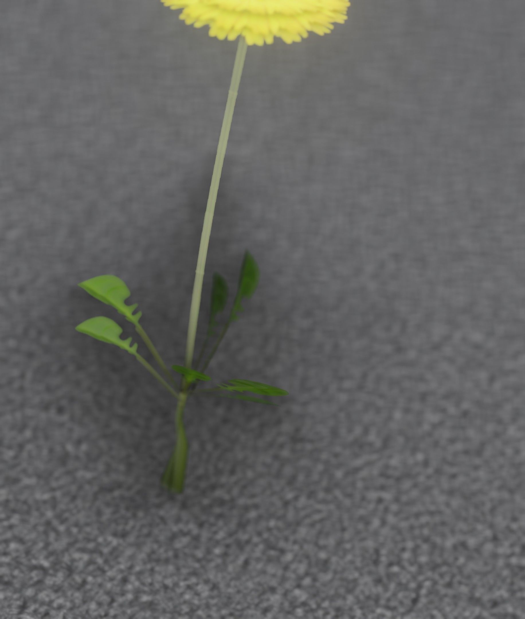 Low-Poly Dandelion Flower Version 1 - Object 7 Low-poly 3D model_53