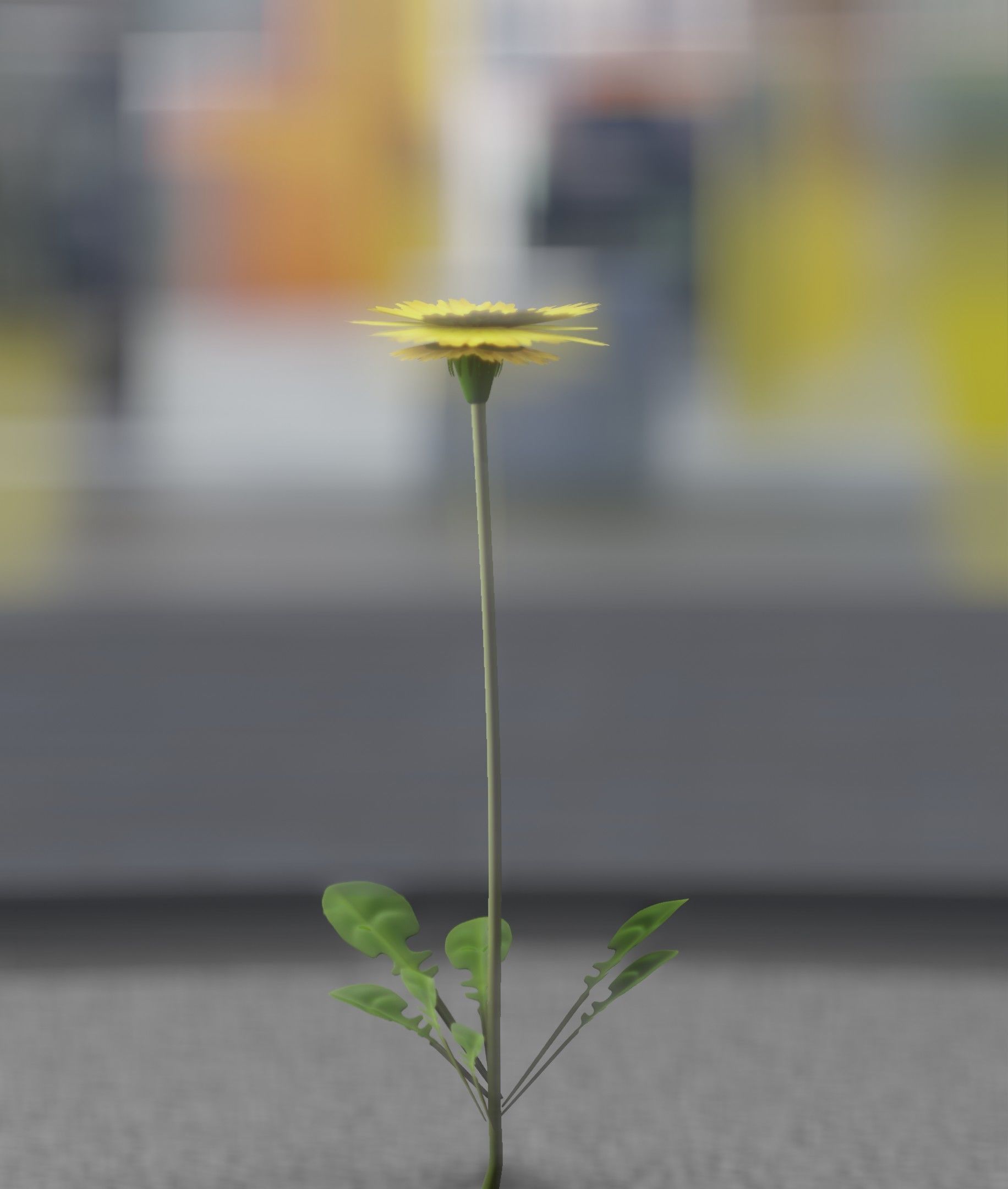 Low-Poly Dandelion Flower Version 1 - Object 7 Low-poly 3D model_31