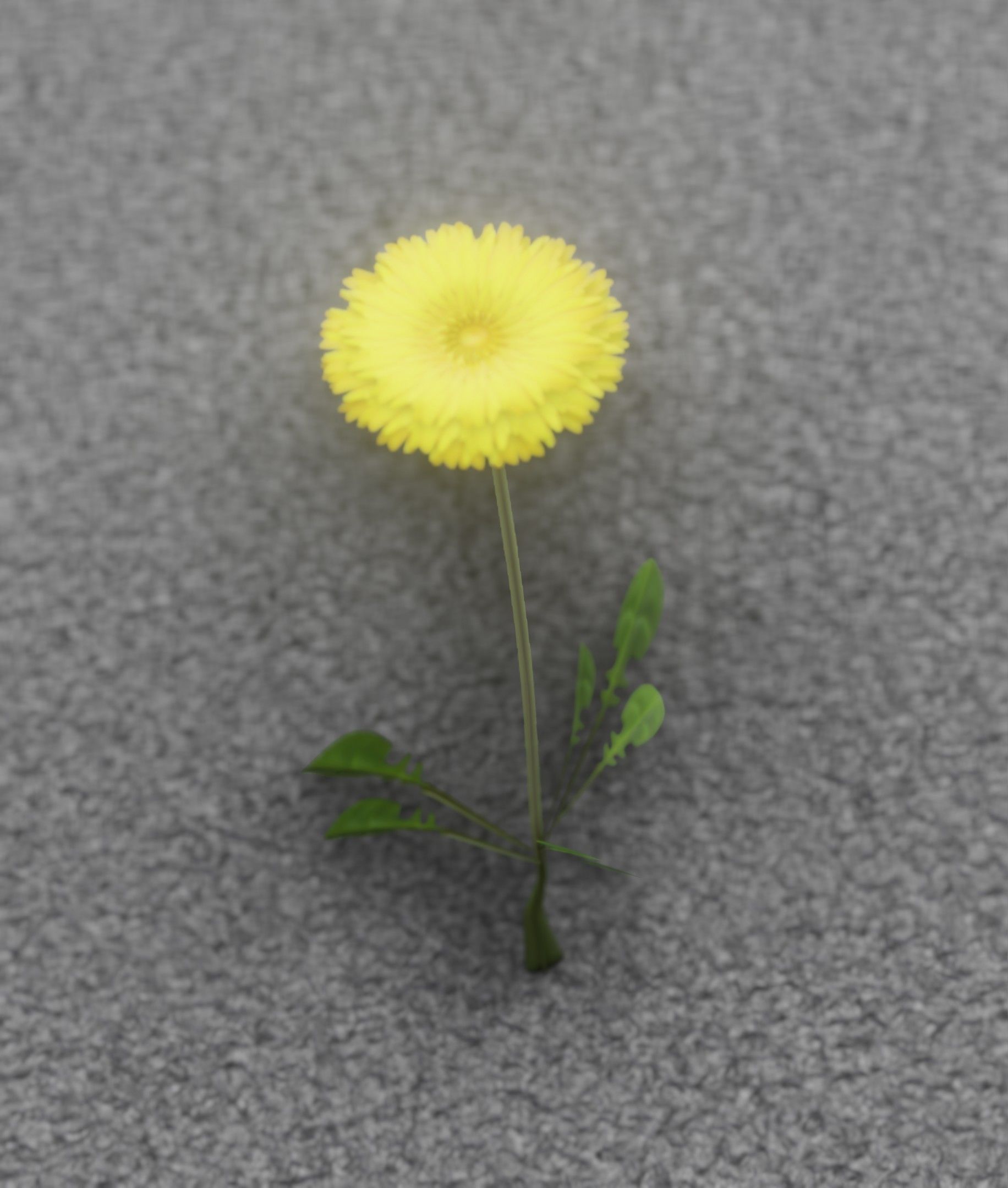Low-Poly Dandelion Flower Version 1 - Object 7 Low-poly 3D model_17