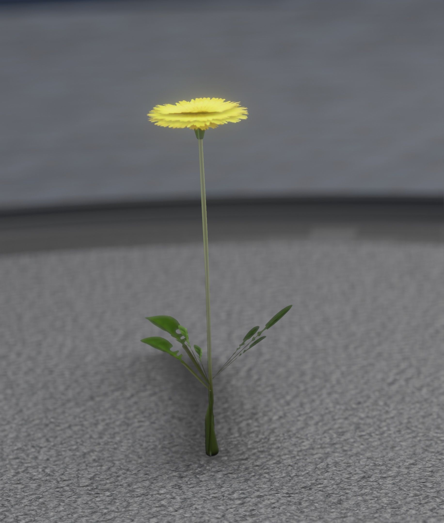 Low-Poly Dandelion Flower Version 1 - Object 7 Low-poly 3D model_34
