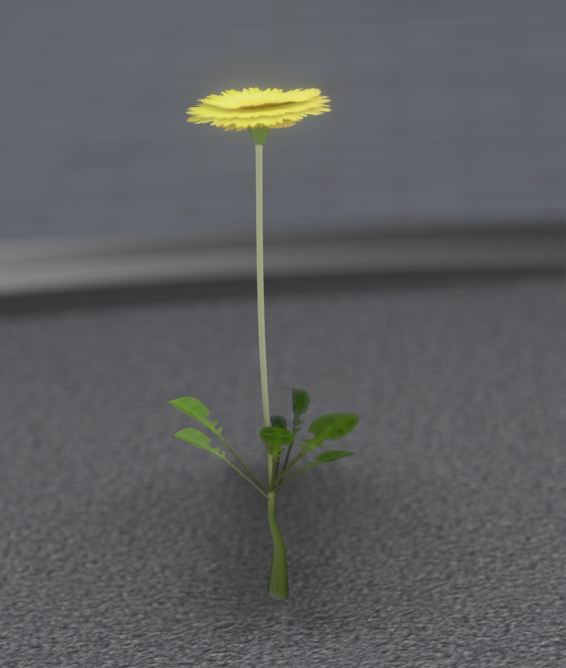 Low-Poly Dandelion Flower Version 1 - Object 7 Low-poly 3D model_36