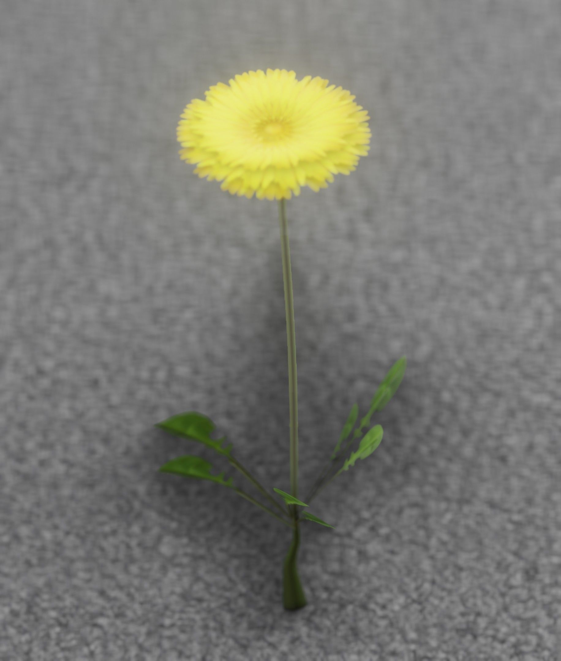 Low-Poly Dandelion Flower Version 1 - Object 7 Low-poly 3D model_18