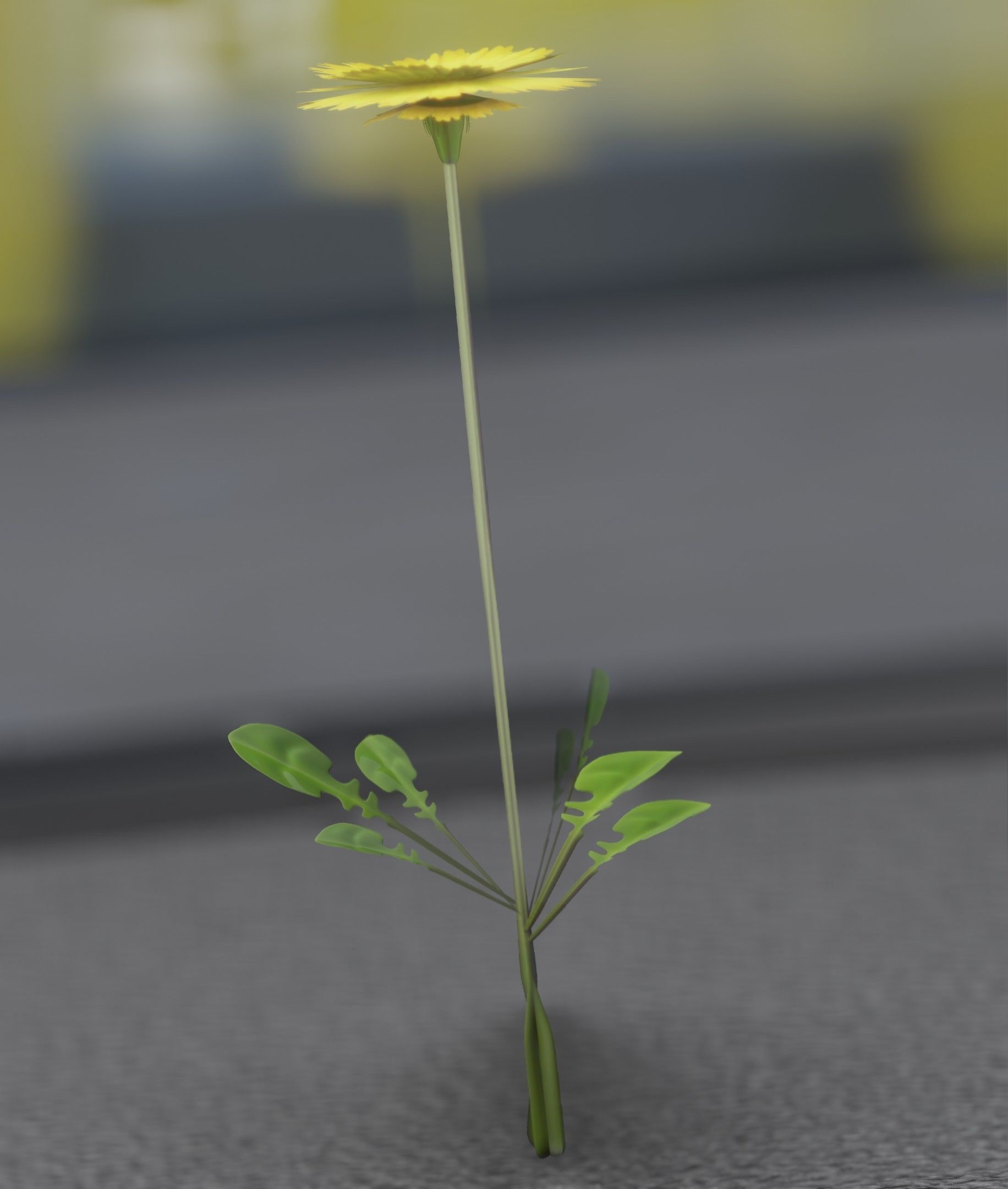 Low-Poly Dandelion Flower Version 1 - Object 7 Low-poly 3D model_40