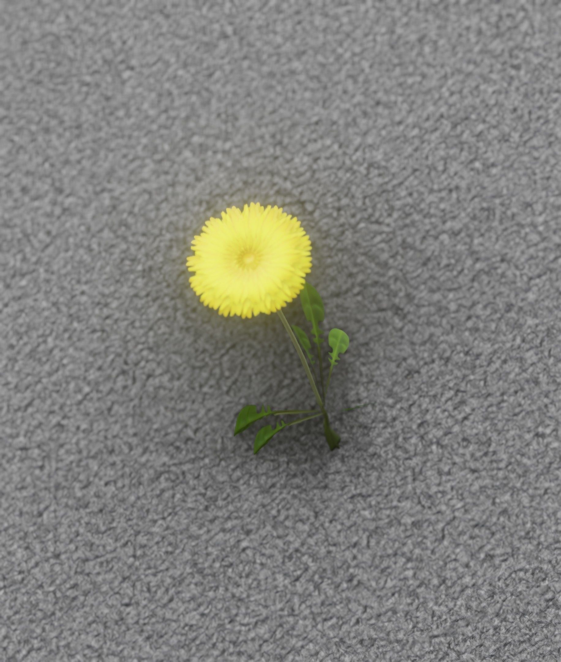 Low-Poly Dandelion Flower Version 1 - Object 7 Low-poly 3D model_15
