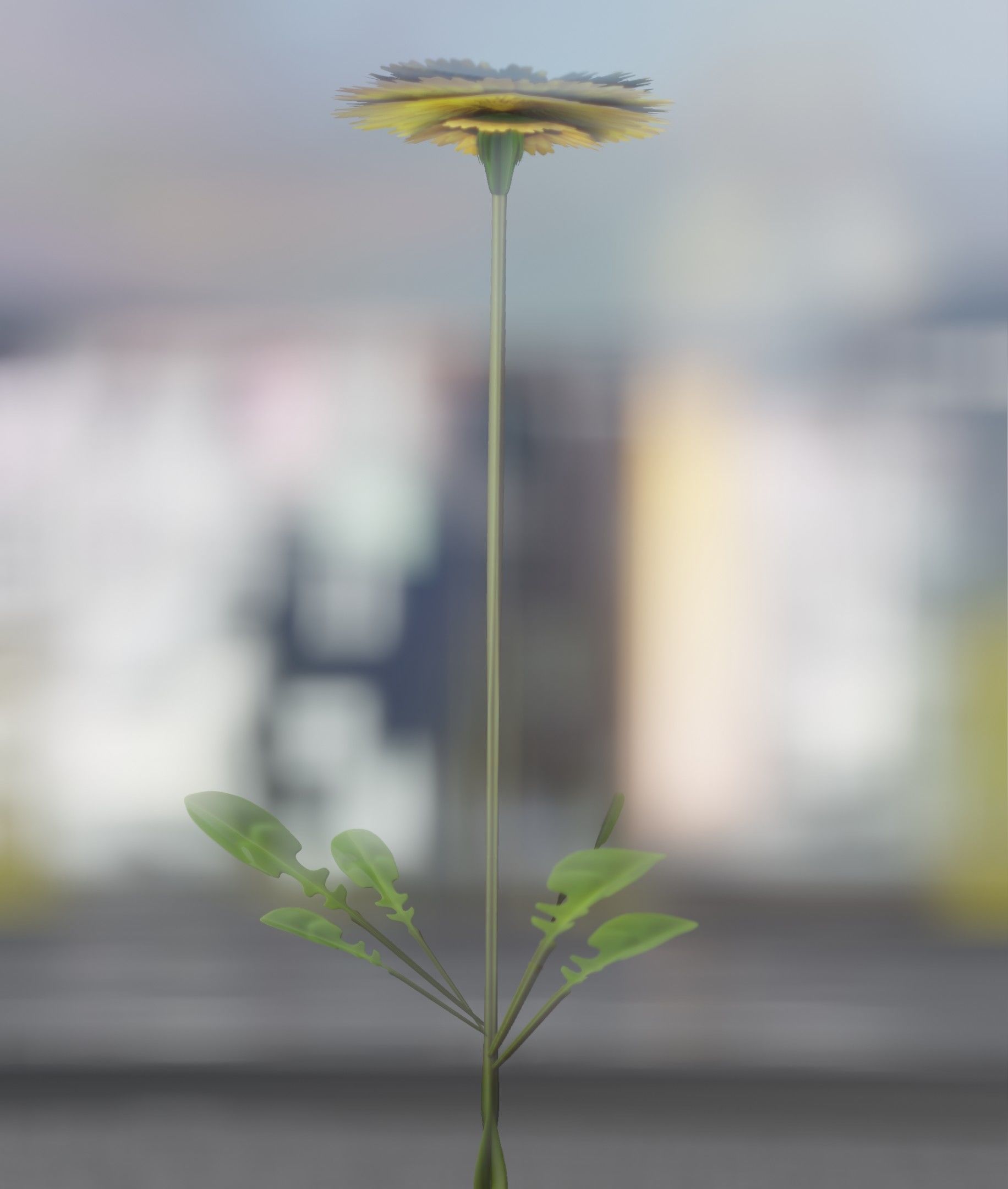 Low-Poly Dandelion Flower Version 1 - Object 7 Low-poly 3D model_29
