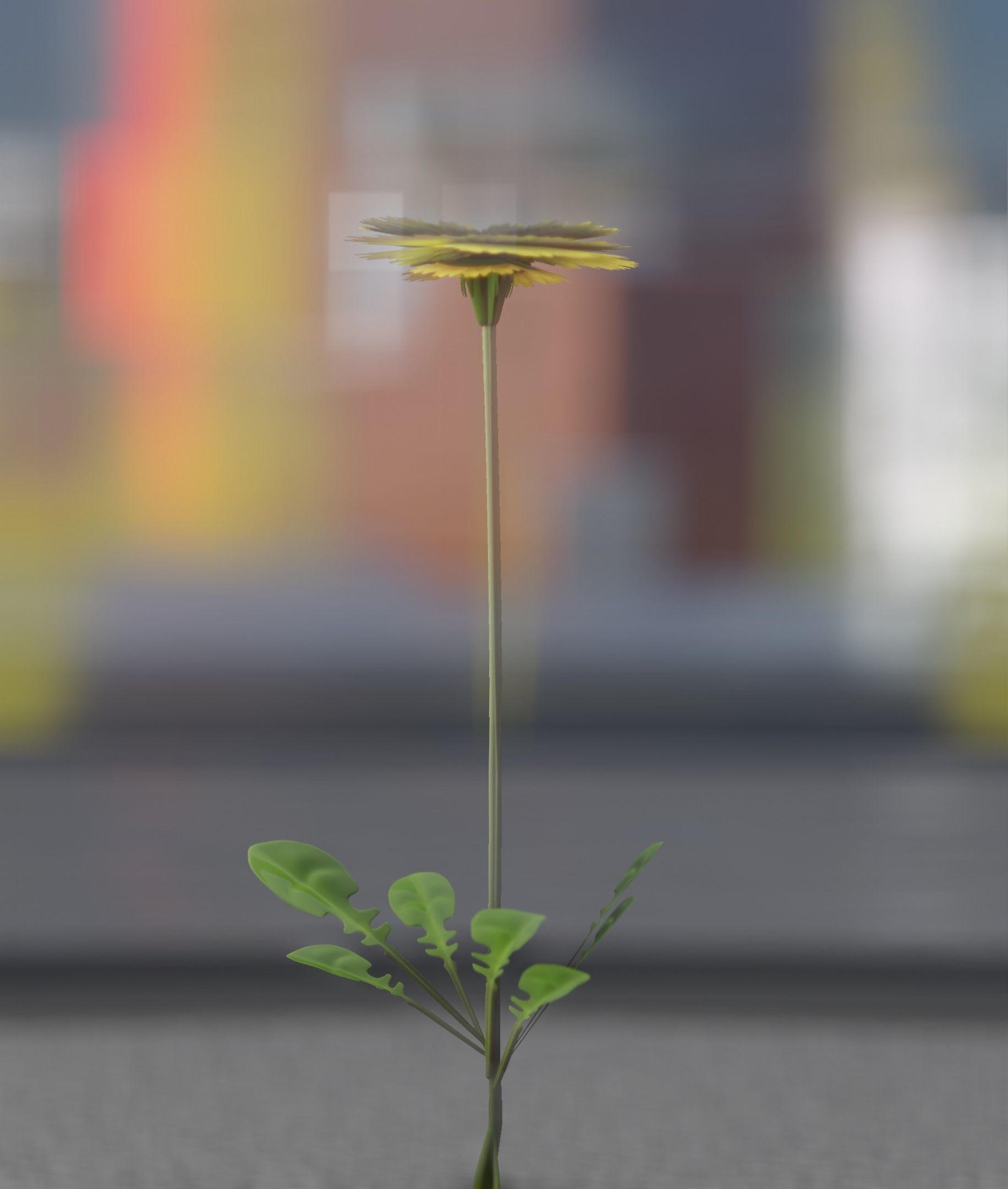 Low-Poly Dandelion Flower Version 1 - Object 7 Low-poly 3D model_30