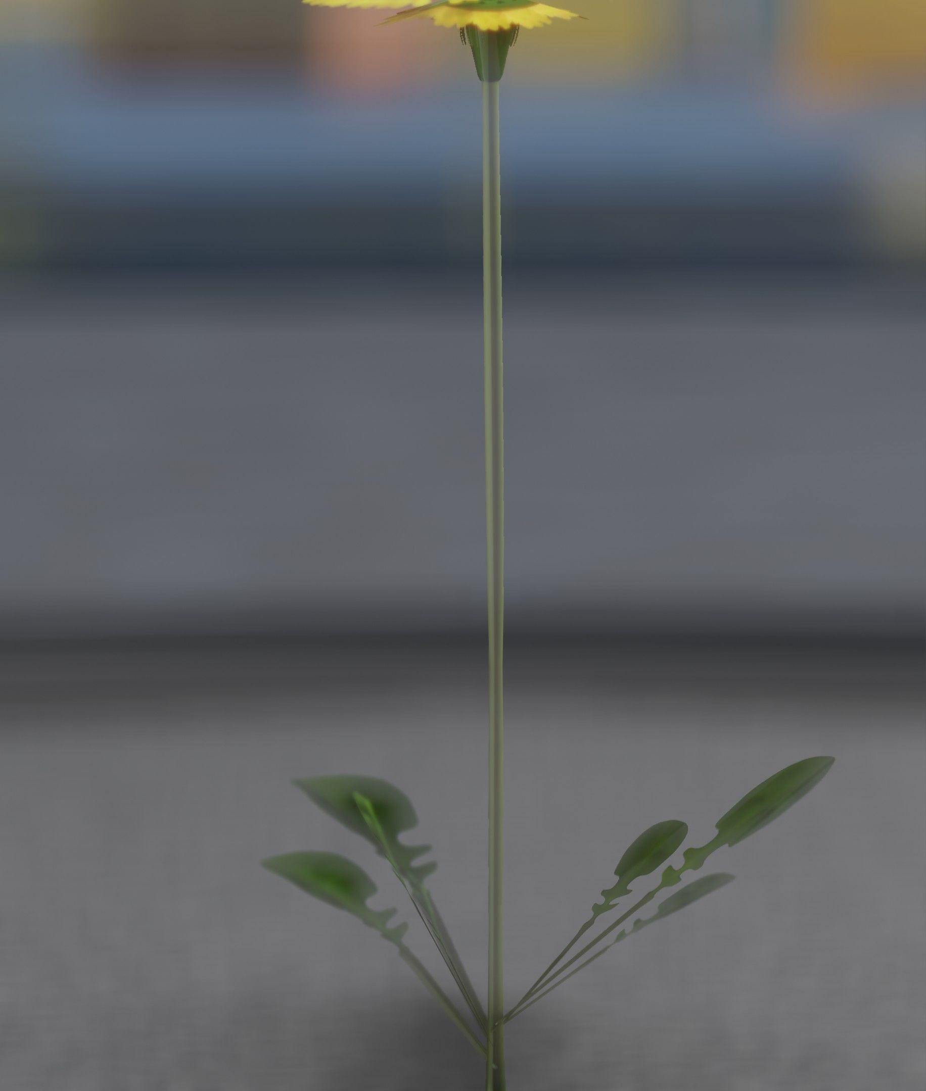 Low-Poly Dandelion Flower Version 1 - Object 7 Low-poly 3D model_20