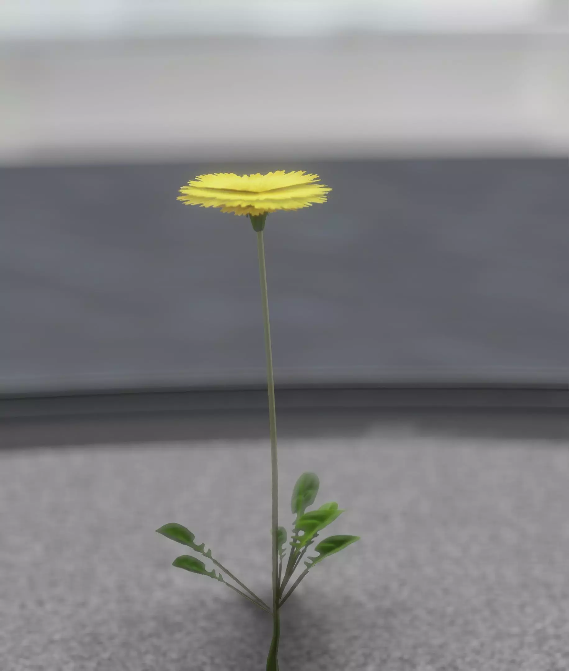 Low-Poly Dandelion Flower Version 1 - Object 7 Low-poly 3D model_0