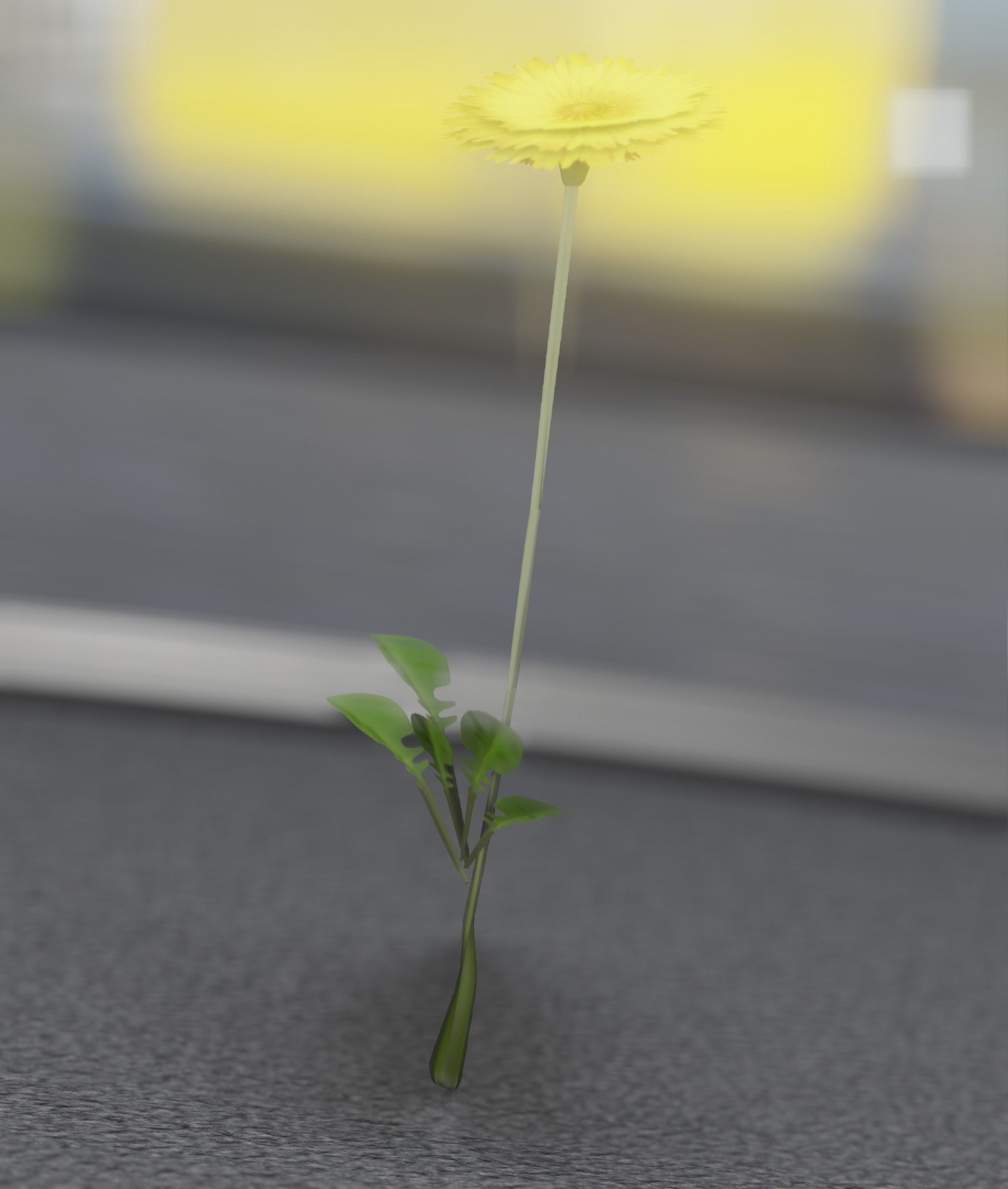 Low-Poly Dandelion Flower Version 2 - Object 8 Low-poly 3D model_37