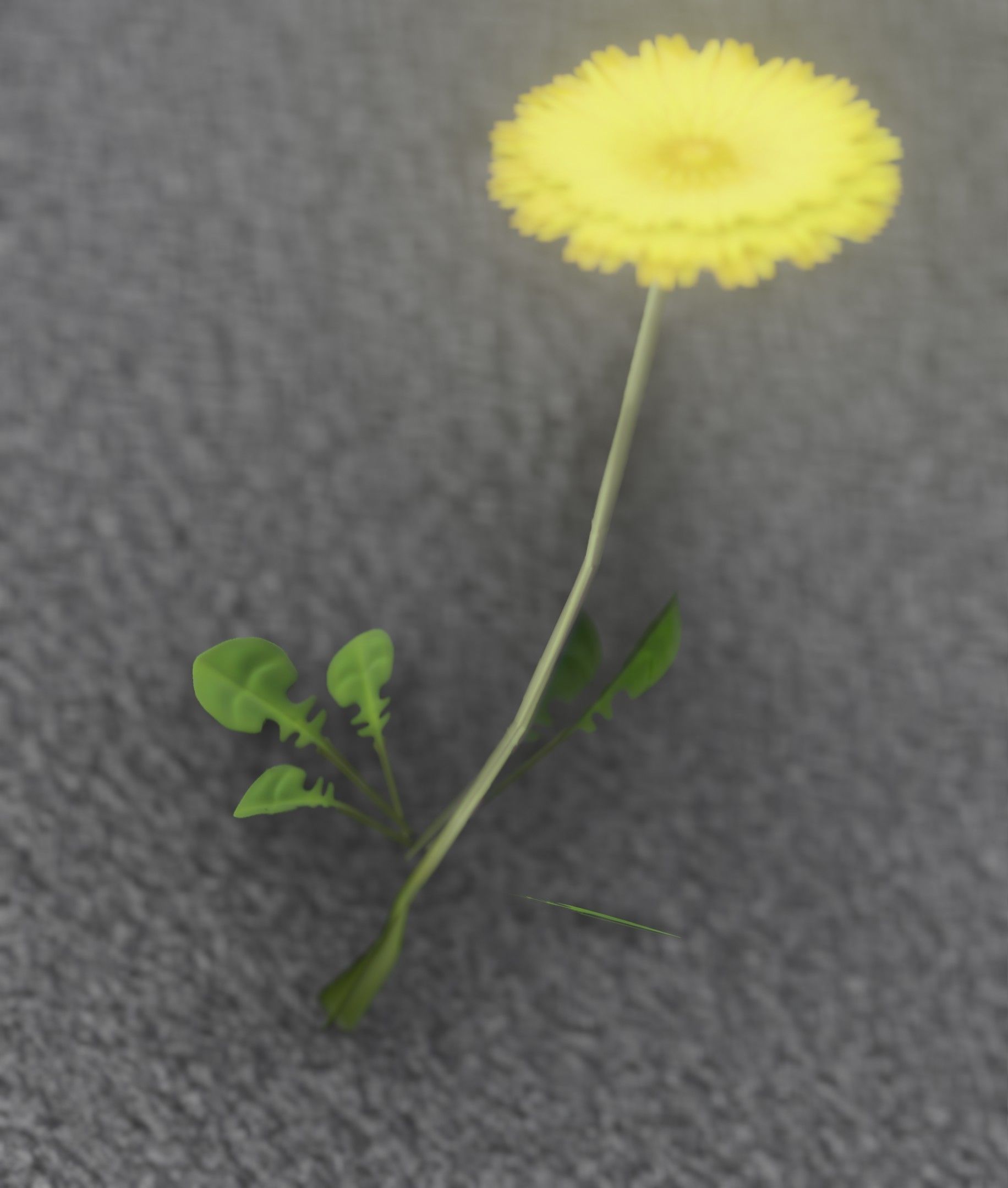 Low-Poly Dandelion Flower Version 2 - Object 8 Low-poly 3D model_41