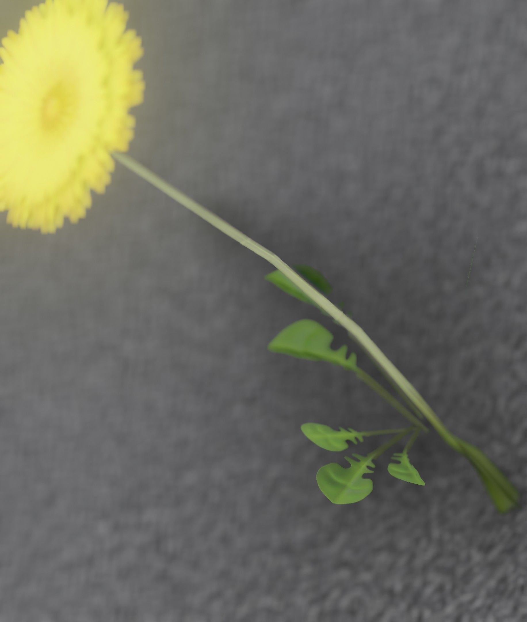 Low-Poly Dandelion Flower Version 2 - Object 8 Low-poly 3D model_12