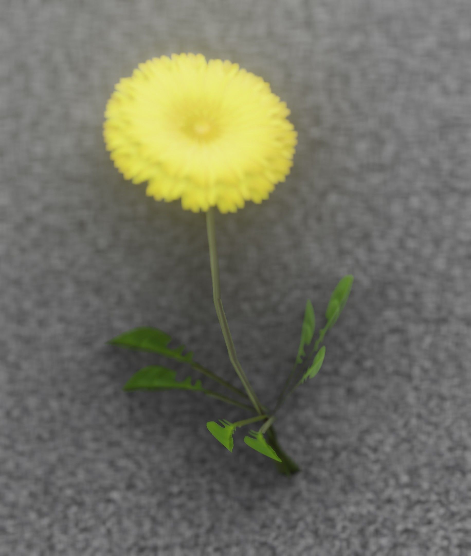 Low-Poly Dandelion Flower Version 2 - Object 8 Low-poly 3D model_9