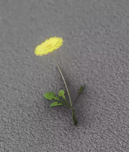 Low-Poly Dandelion Flower Version 2 - Object 8 Low-poly 3D model Low-Poly Dandelion Flower Version 2 - Object 8 Low-poly 3D model