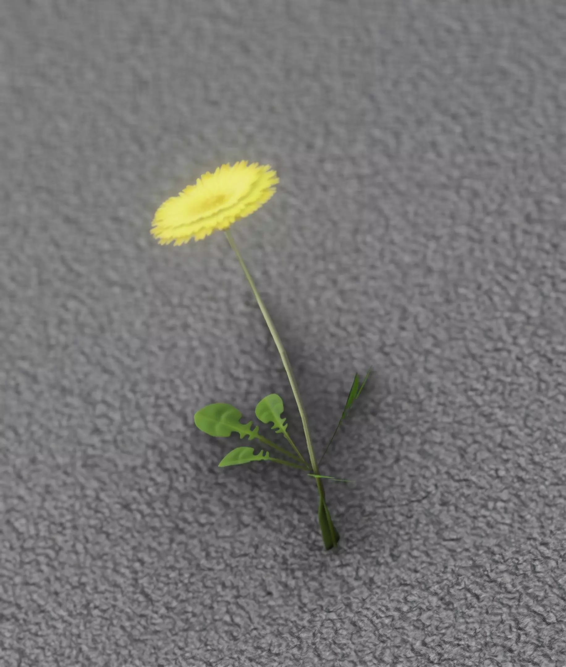 Low-Poly Dandelion Flower Version 2 - Object 8 Low-poly 3D model_0