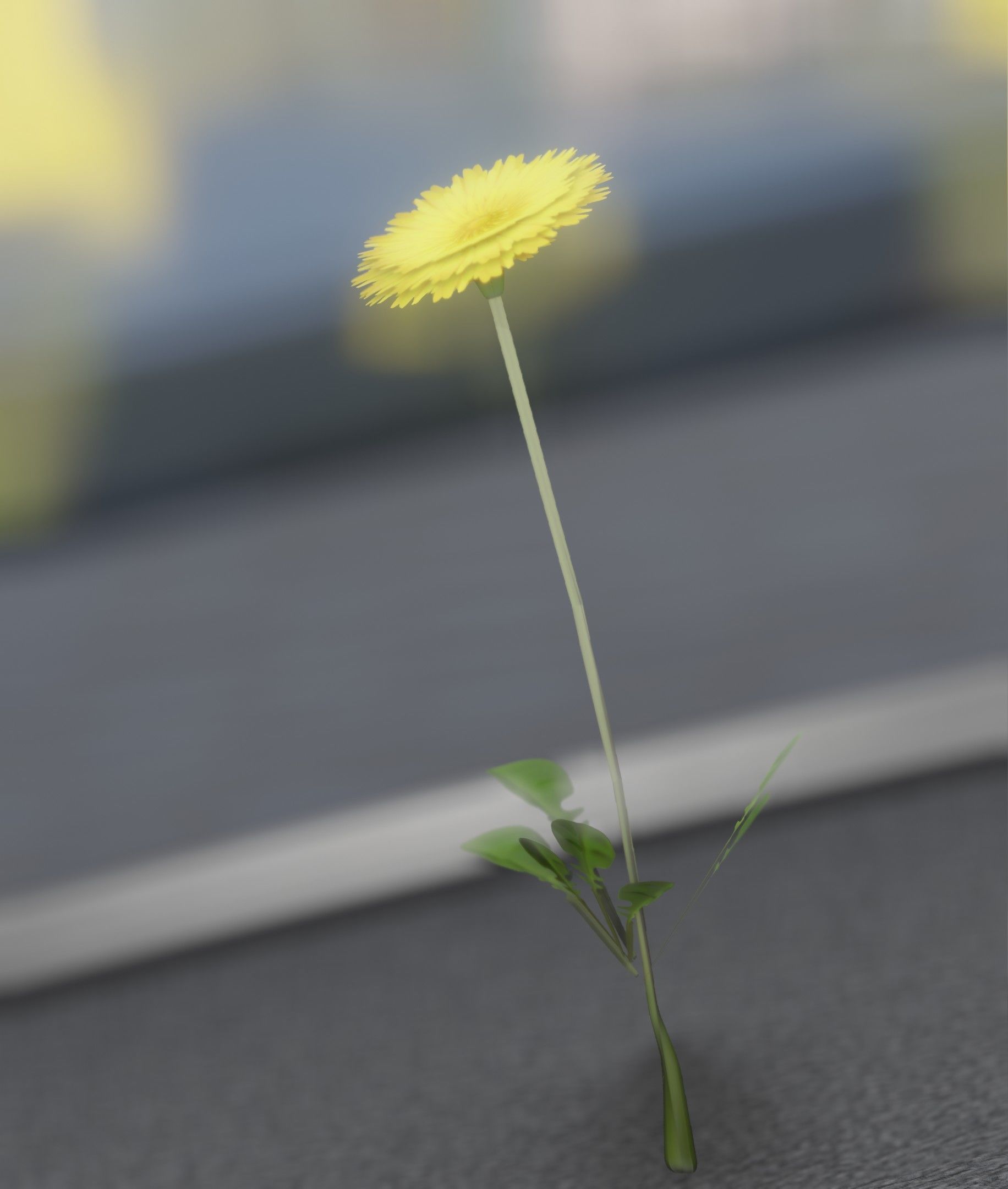 Low-Poly Dandelion Flower Version 2 - Object 8 Low-poly 3D model_18
