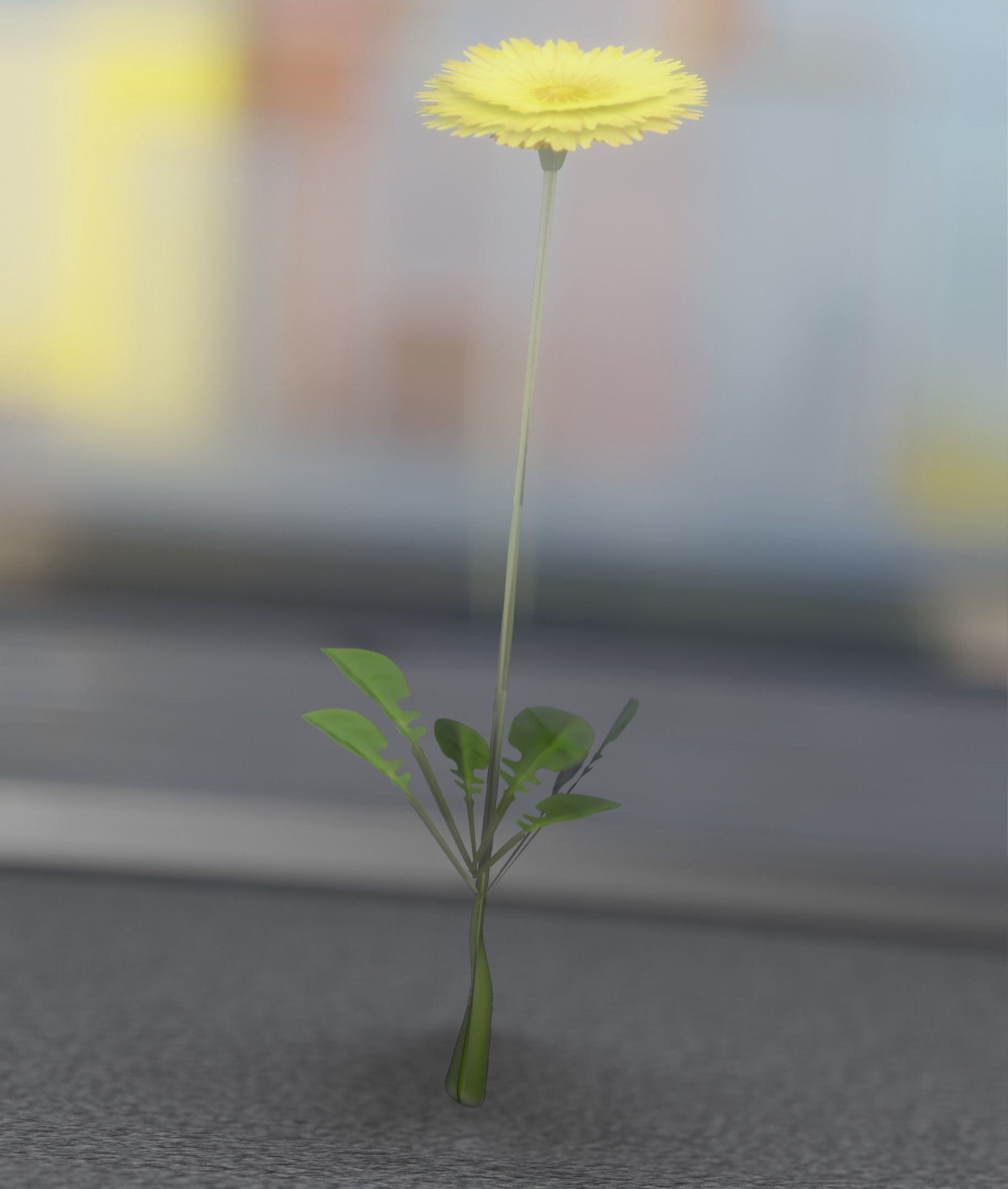 Low-Poly Dandelion Flower Version 2 - Object 8 Low-poly 3D model_36