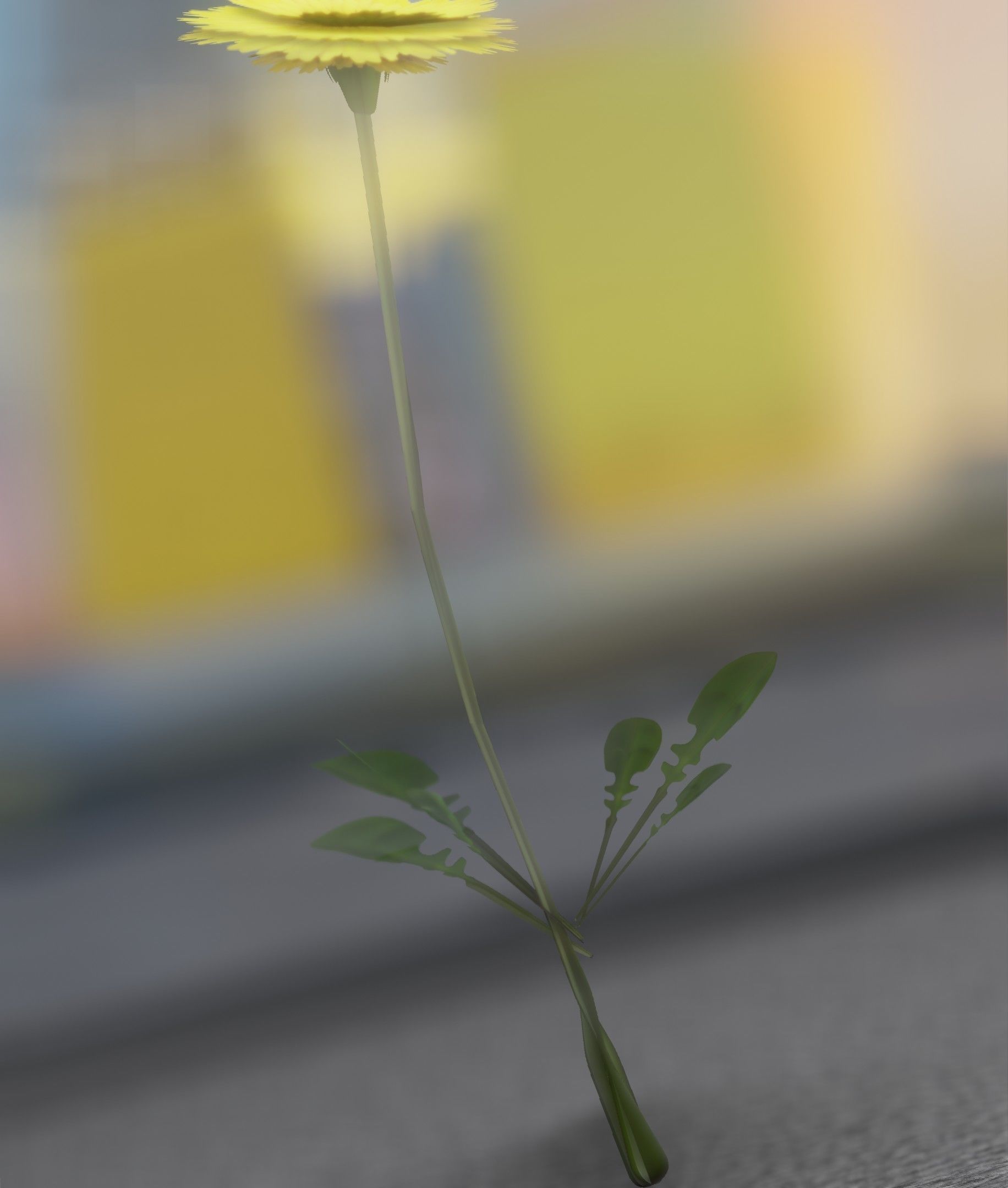 Low-Poly Dandelion Flower Version 2 - Object 8 Low-poly 3D model_31