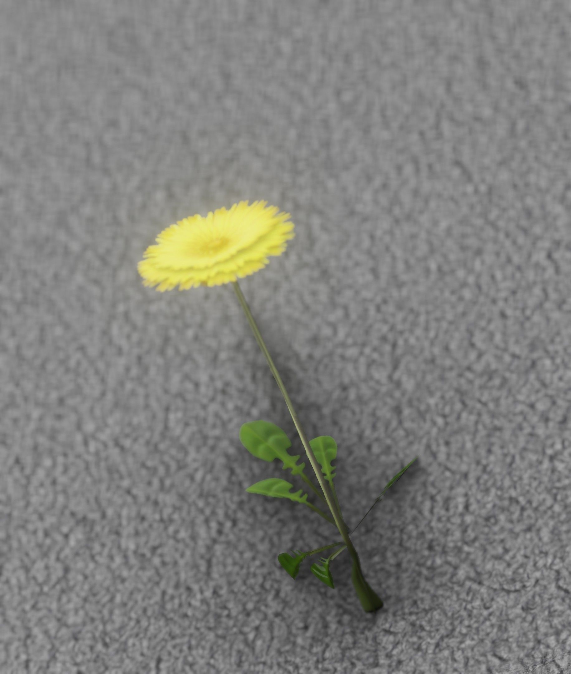 Low-Poly Dandelion Flower Version 2 - Object 8 Low-poly 3D model_24