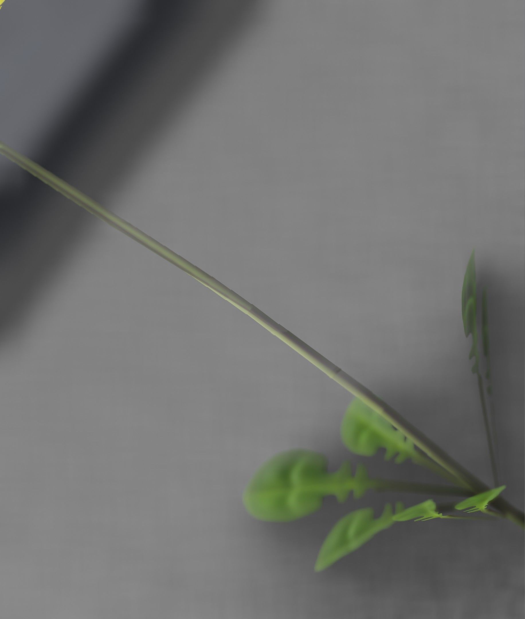 Low-Poly Dandelion Flower Version 2 - Object 8 Low-poly 3D model_45