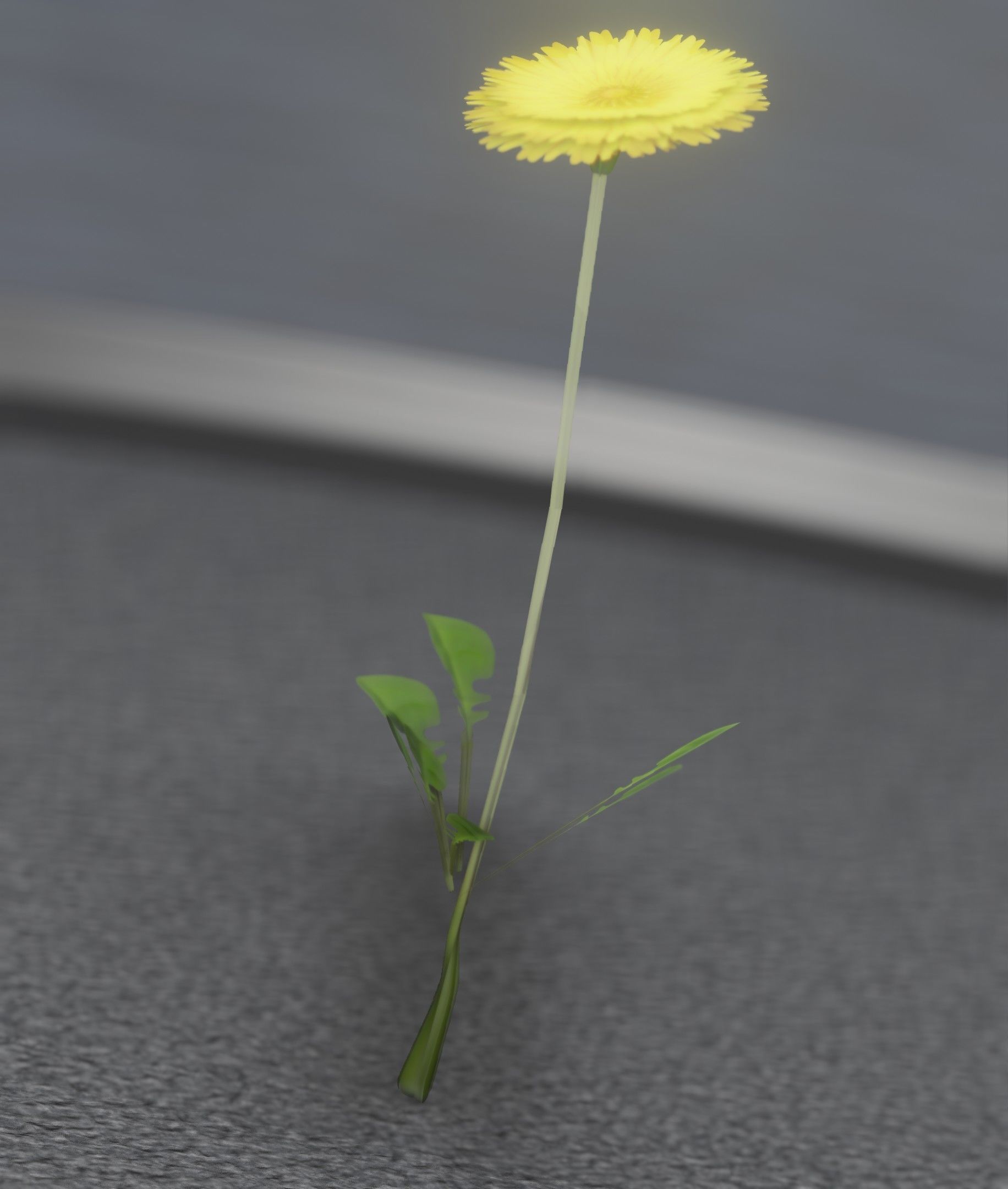 Low-Poly Dandelion Flower Version 2 - Object 8 Low-poly 3D model_38