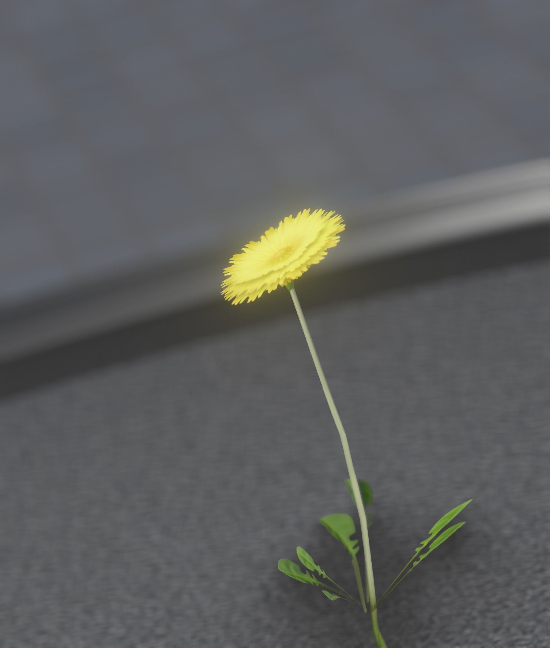 Low-Poly Dandelion Flower Version 2 - Object 8 Low-poly 3D model_20