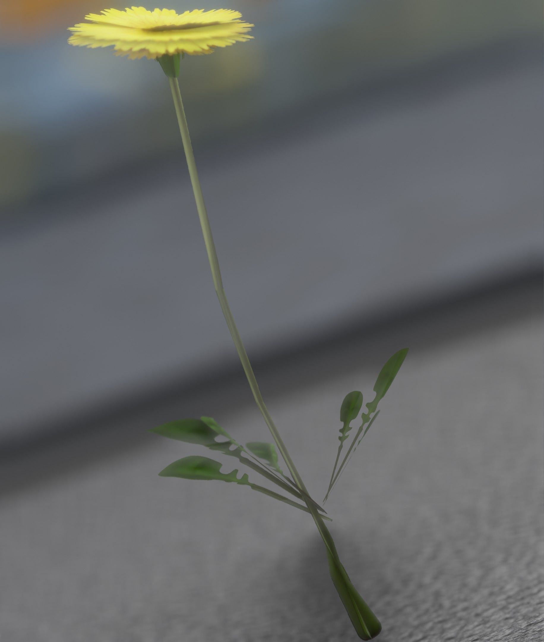 Low-Poly Dandelion Flower Version 2 - Object 8 Low-poly 3D model_30