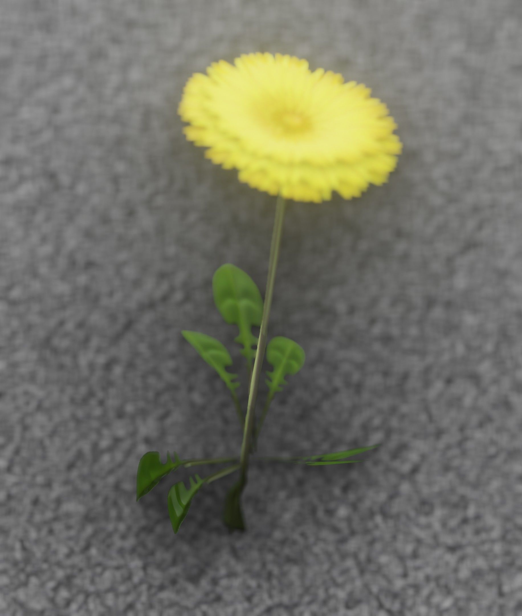 Low-Poly Dandelion Flower Version 2 - Object 8 Low-poly 3D model_7