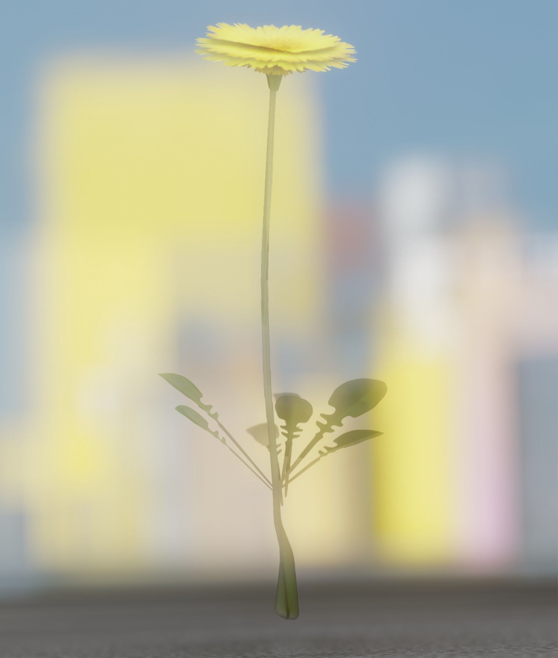 Low-Poly Dandelion Flower Version 2 - Object 8 Low-poly 3D model_34