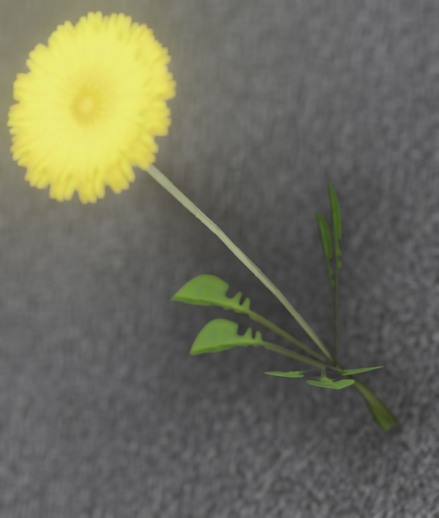 Low-Poly Dandelion Flower Version 2 - Object 8 Low-poly 3D model_11