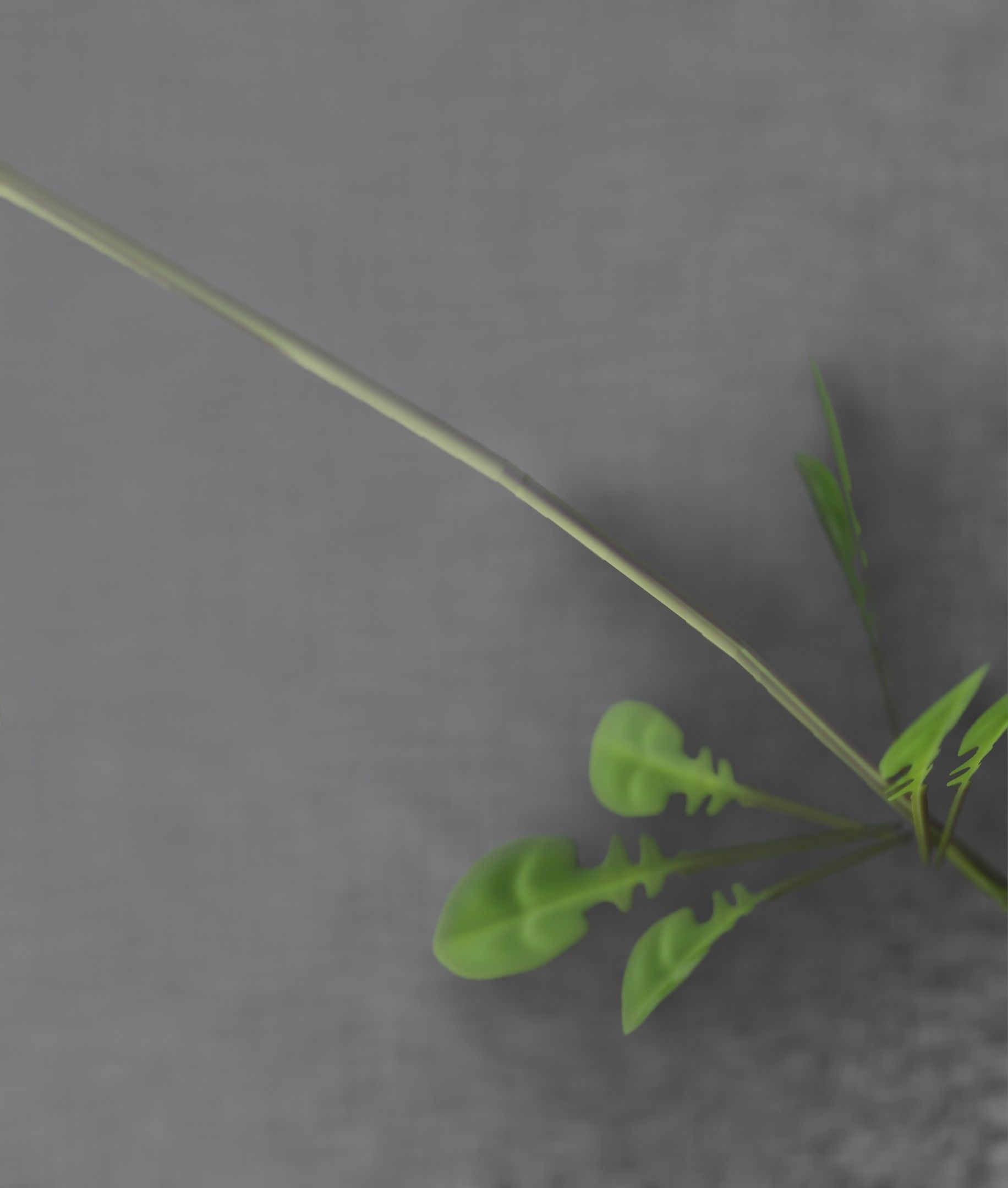 Low-Poly Dandelion Flower Version 2 - Object 8 Low-poly 3D model_44