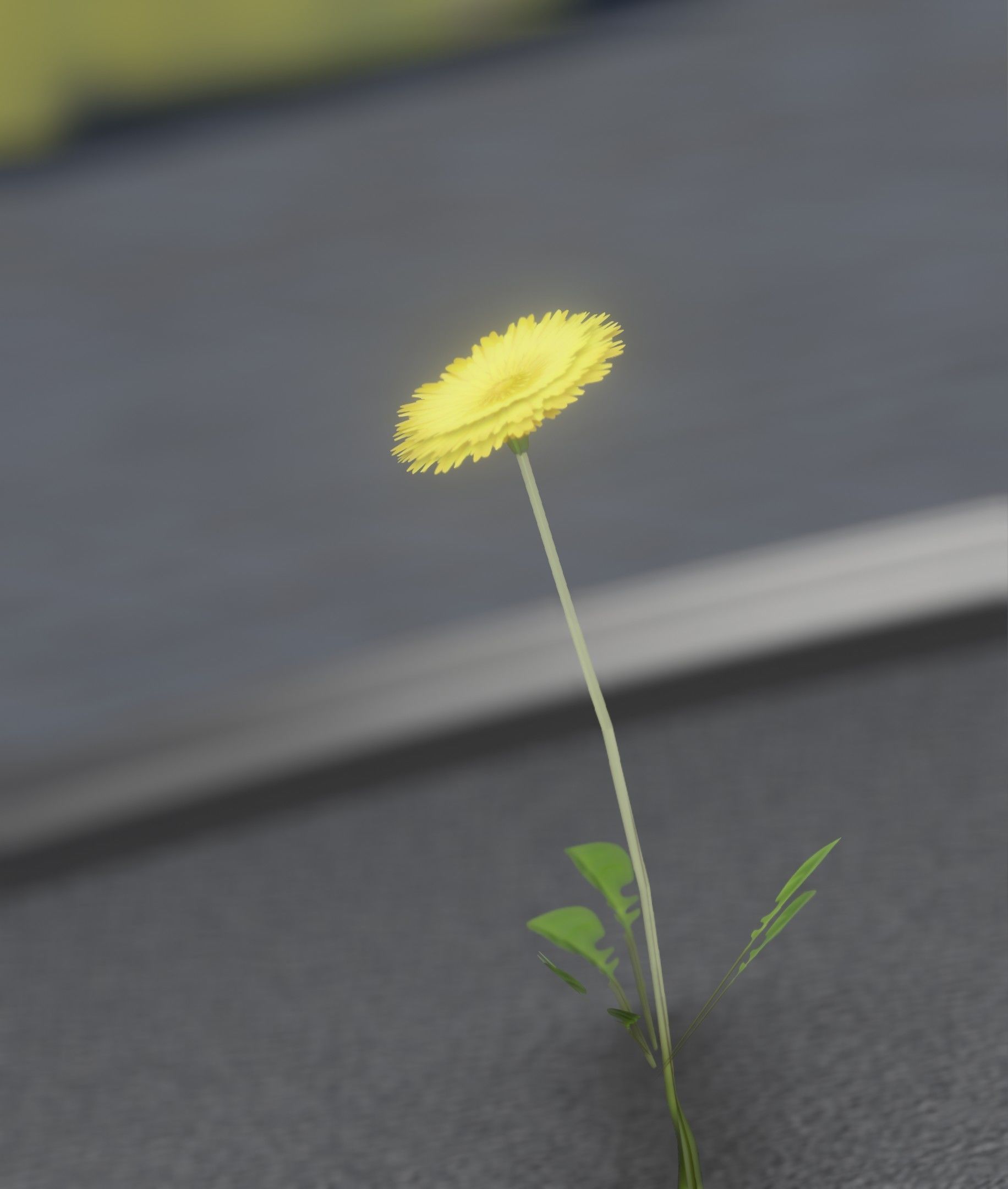 Low-Poly Dandelion Flower Version 2 - Object 8 Low-poly 3D model_19