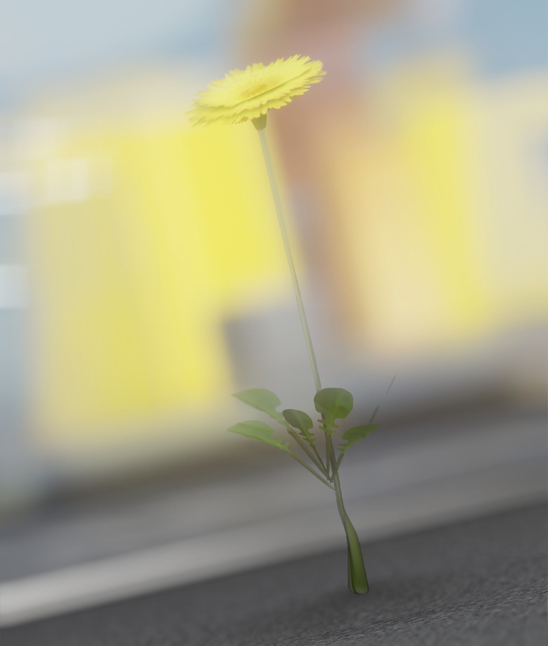 Low-Poly Dandelion Flower Version 2 - Object 8 Low-poly 3D model_3