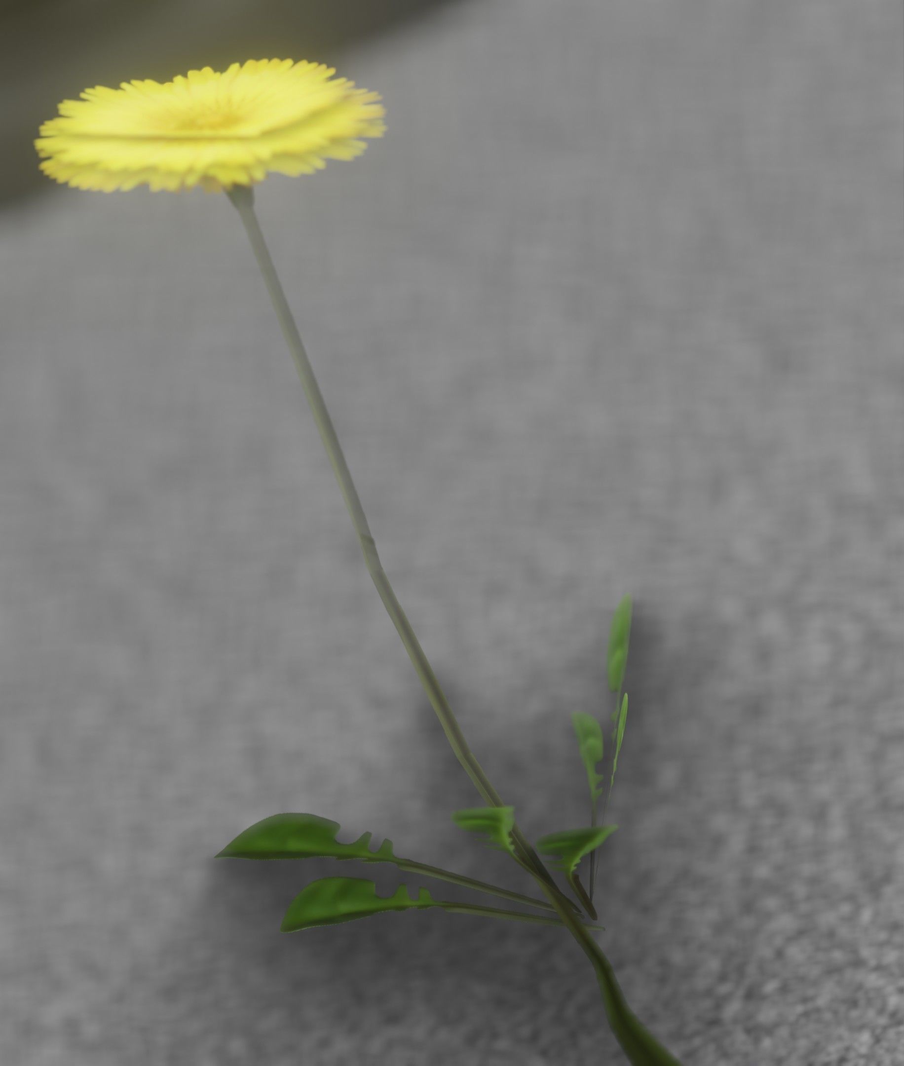 Low-Poly Dandelion Flower Version 2 - Object 8 Low-poly 3D model_28