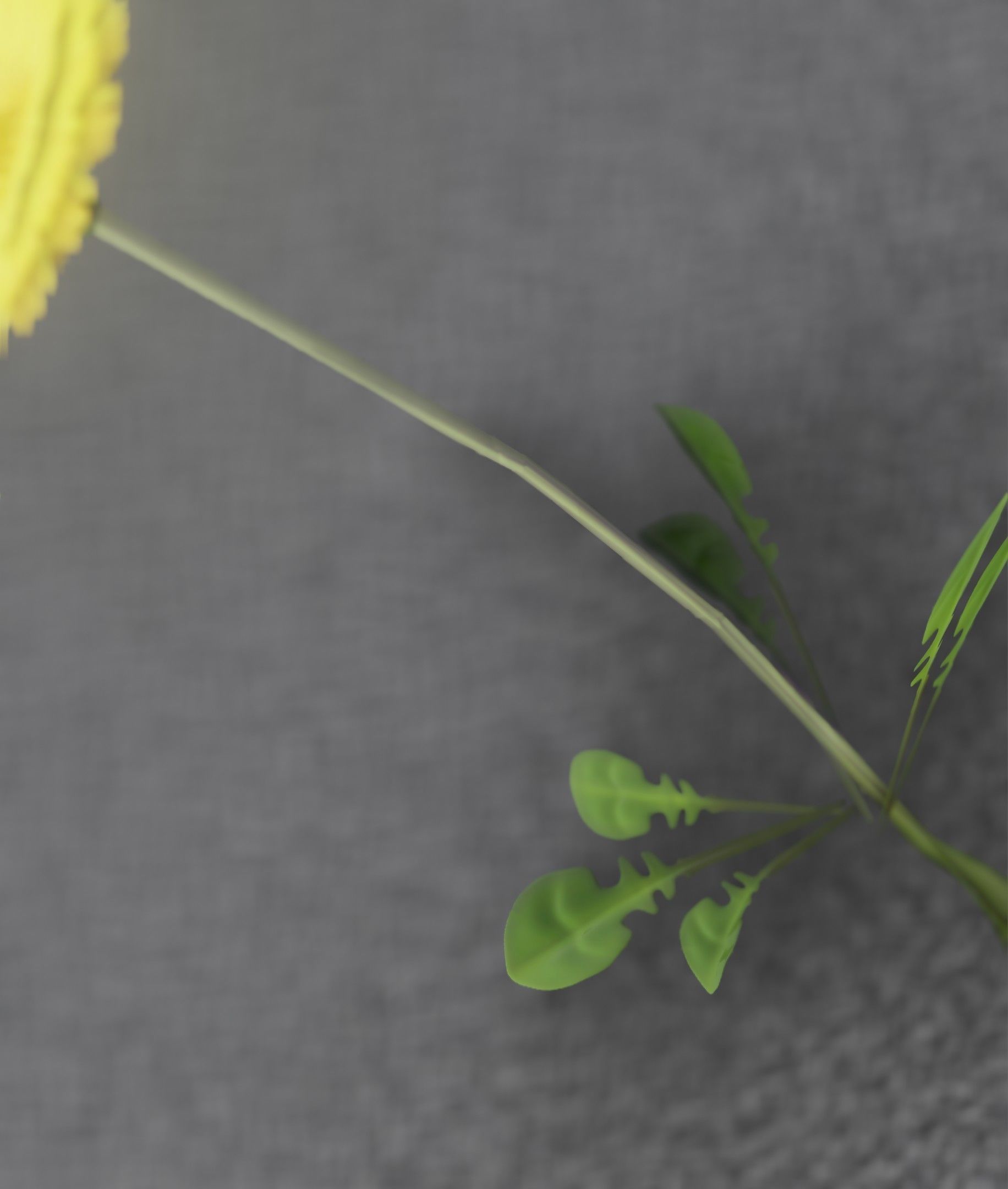 Low-Poly Dandelion Flower Version 2 - Object 8 Low-poly 3D model_43