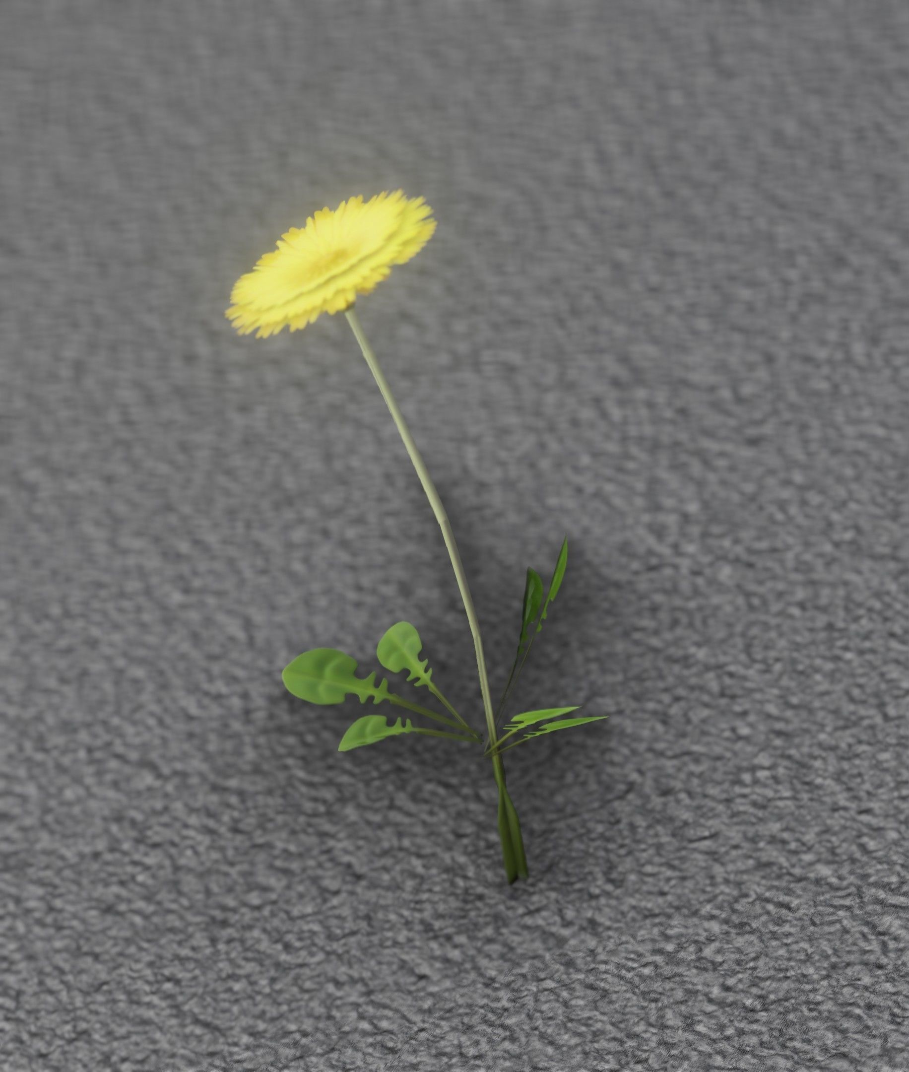 Low-Poly Dandelion Flower Version 2 - Object 8 Low-poly 3D model_22