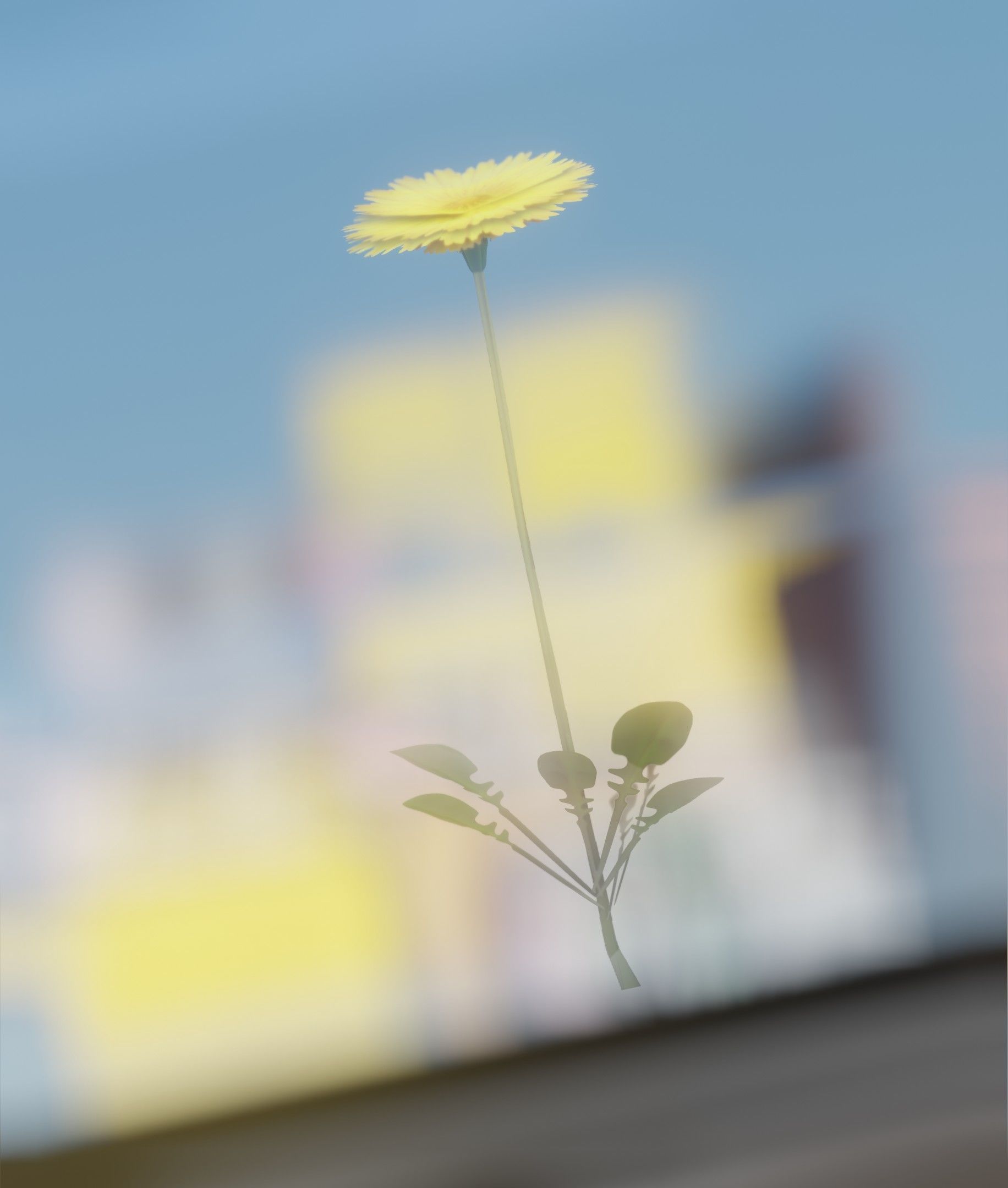 Low-Poly Dandelion Flower Version 2 - Object 8 Low-poly 3D model_17